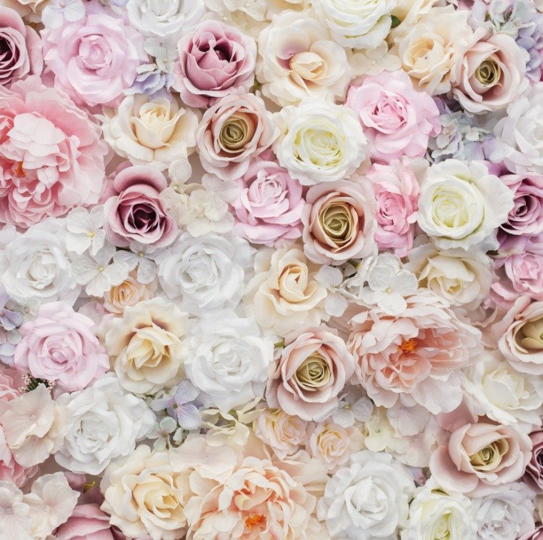 11 -Roses