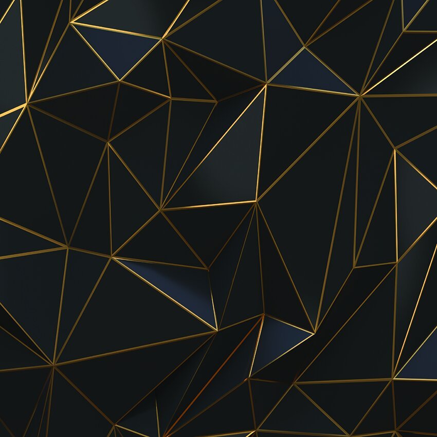 24 - Black/Gold 3D Aztec