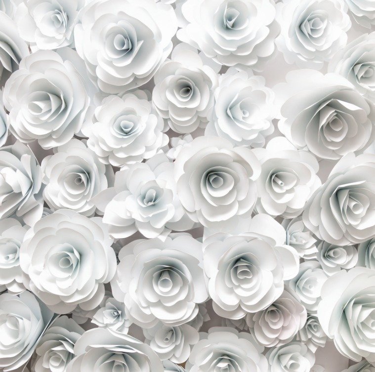 15 - White Roses