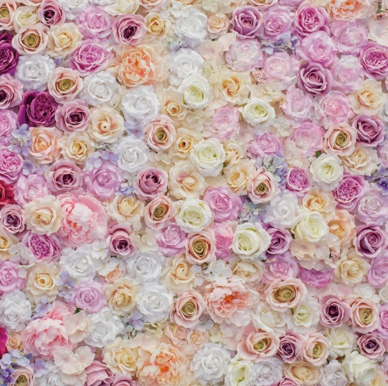 13 - Plenty of Roses