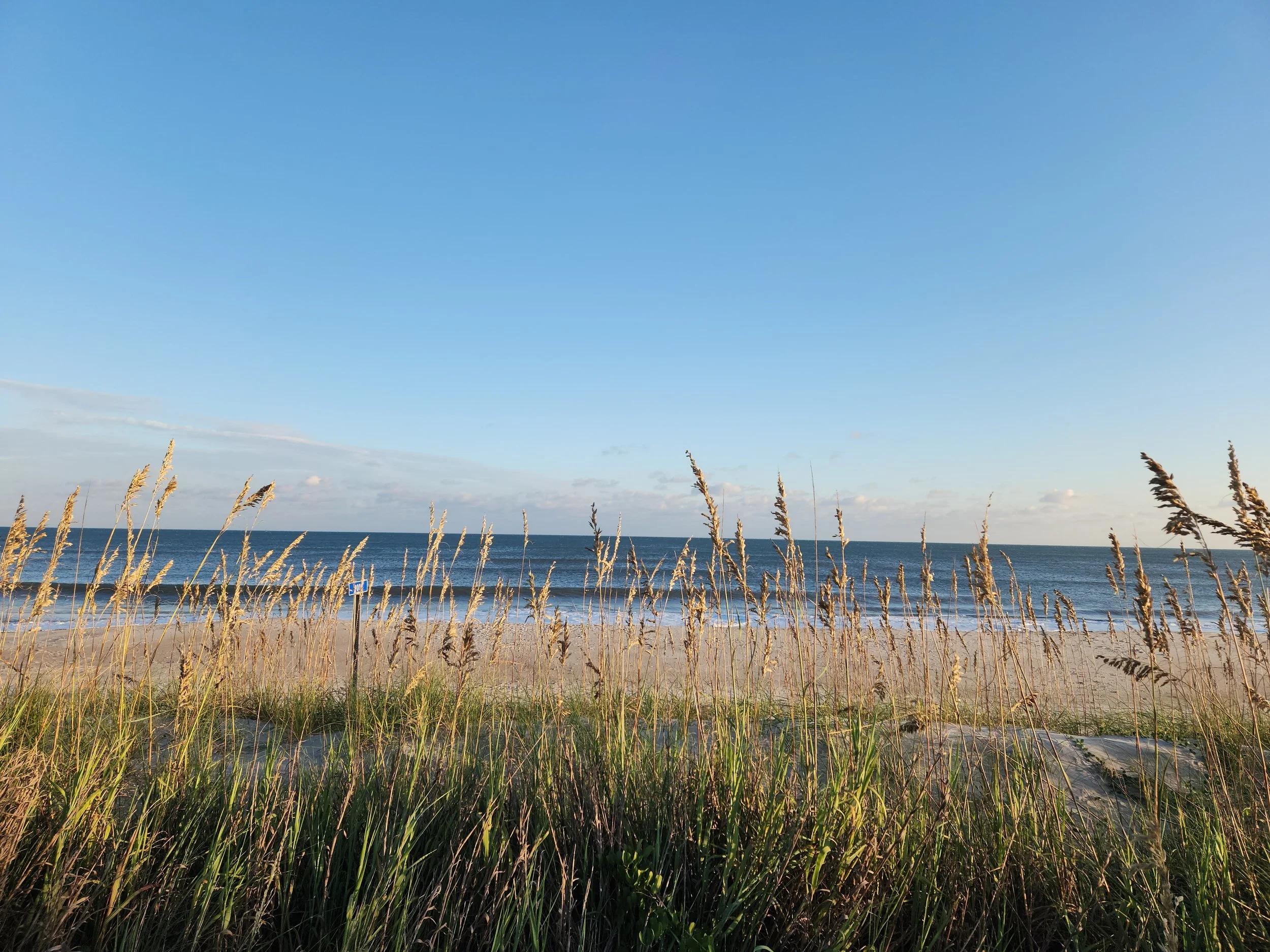 Membership Payment Link.jpg