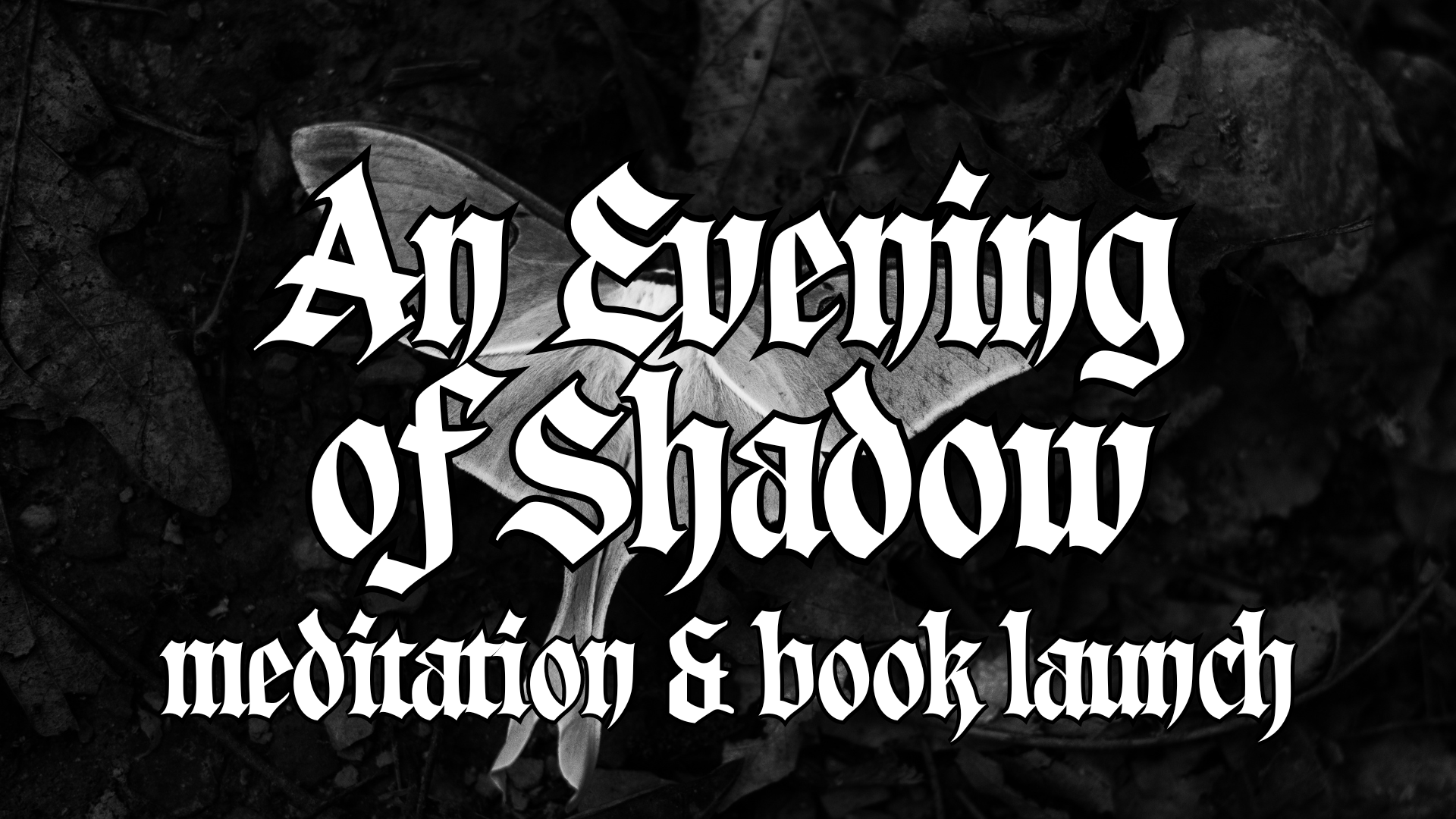 An Evening of Shadow