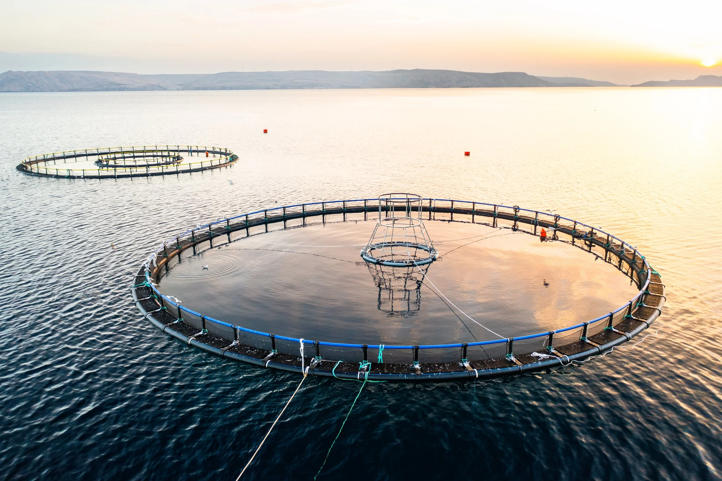 A circular fish farm structure floats on water at sunset, with a smaller circular cage inside and a boat tied to it.