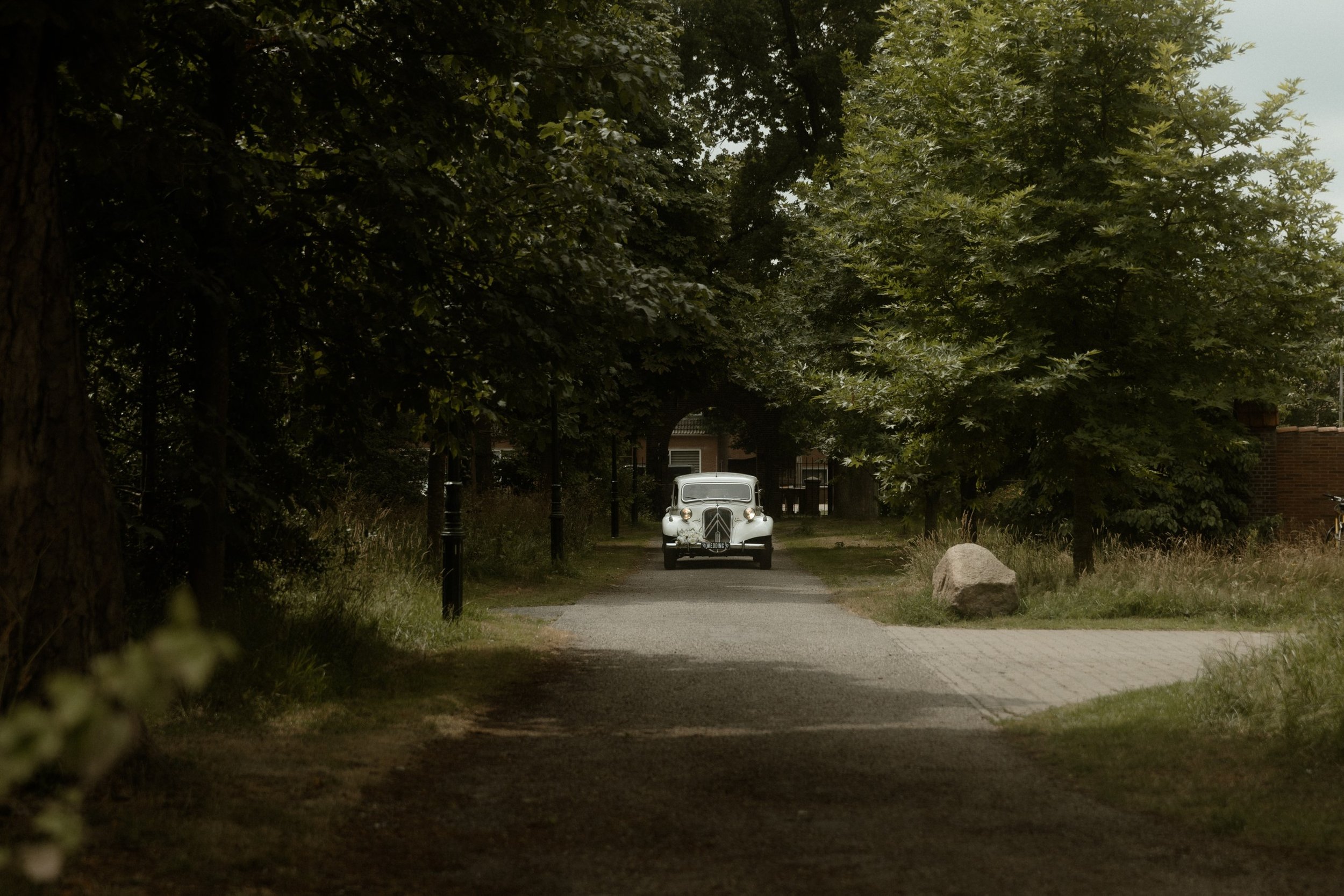 A&B (233)_resized.jpg