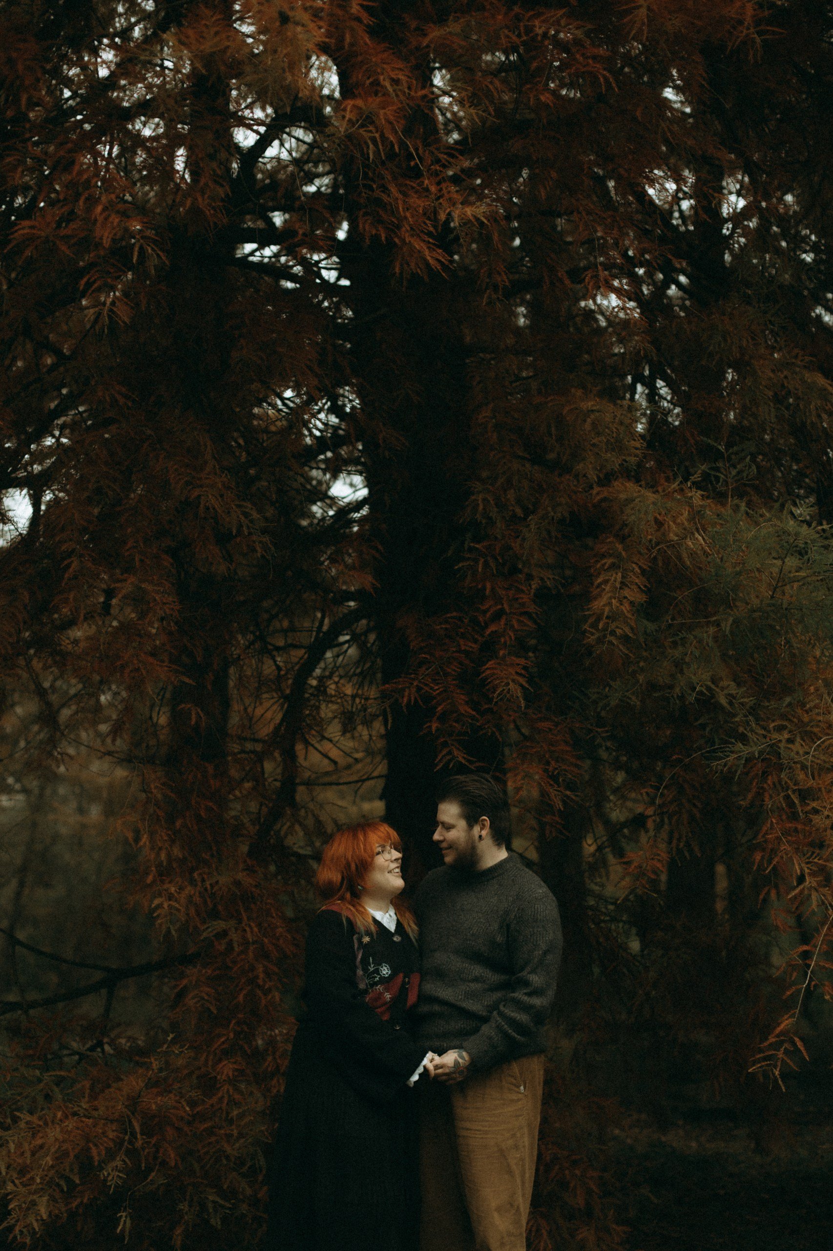 C&N (3)_resized.jpg
