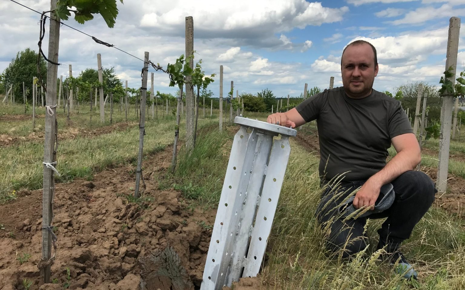 Ukraina: Gode viner fra et land i brutal krig