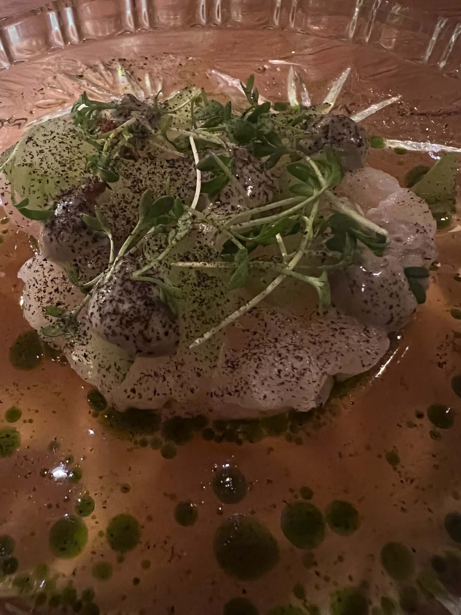 Kveiteceviche.jpg