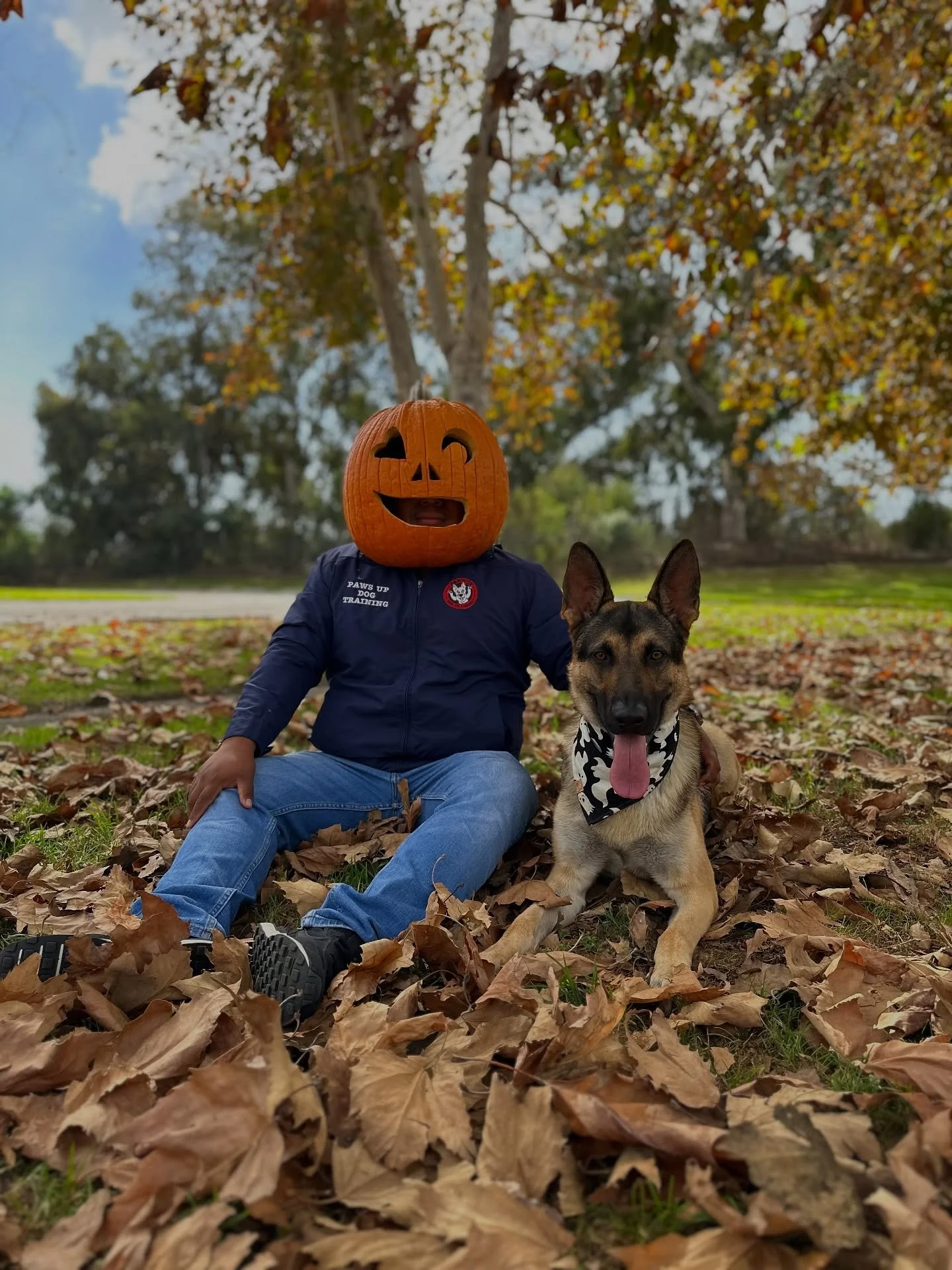 Happy Halloween 🎃 
Paws Up Dog Training 
Trained Dogs Have More Fun! 
interested in getting your dog trained? Click the link in our bio and fill out the form. 

🦴

🦴

🦴

🦴 

🦴

#dogtraining #doglife #dogtrainer #dogs
