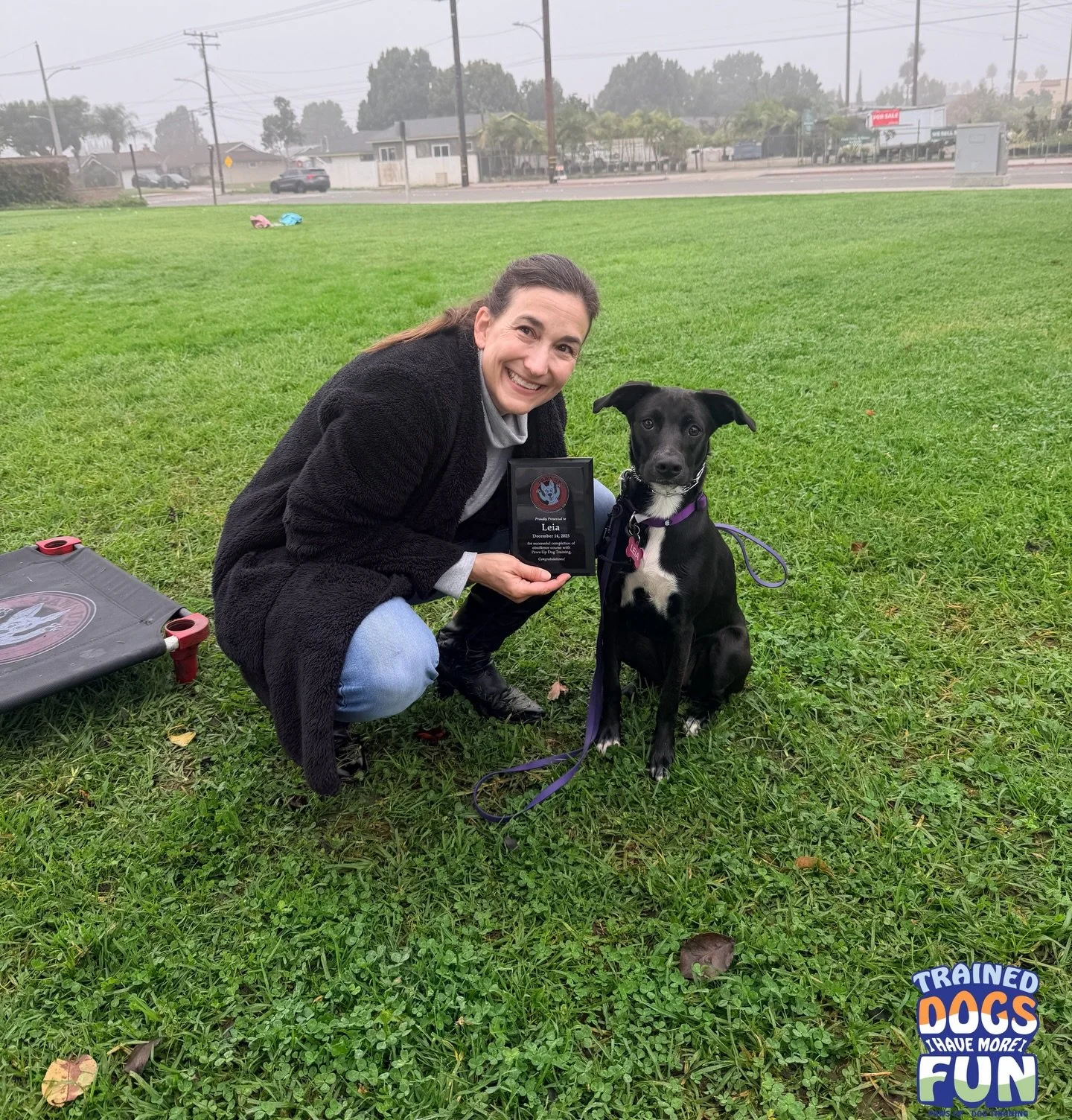 Congratulations to our most recent graduate, Leia! 
She officially completed her training with us today. Thank you for allowing me to be a part of your dog&rsquo;s training journey it was awesome watching you grow together as a team.

Leia completed 