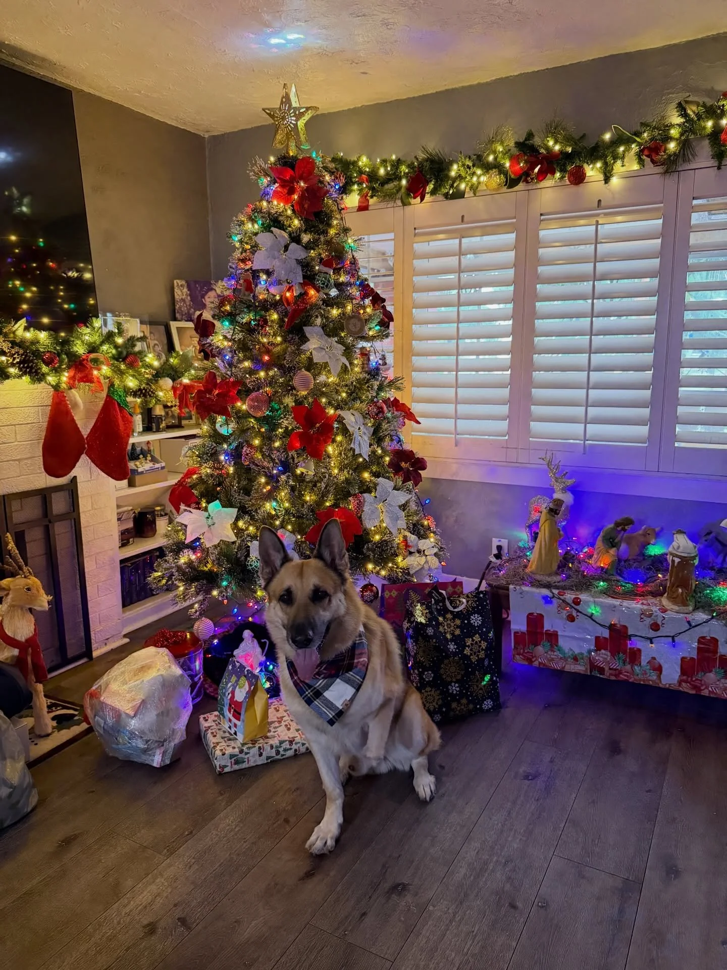 We staying strong and we keep fighting. Happy Holidays Paws Up fam. &hearts;️