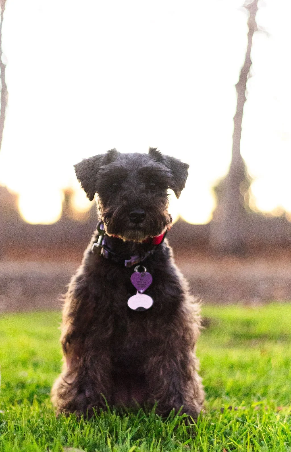 Home Page_B and T.jpg