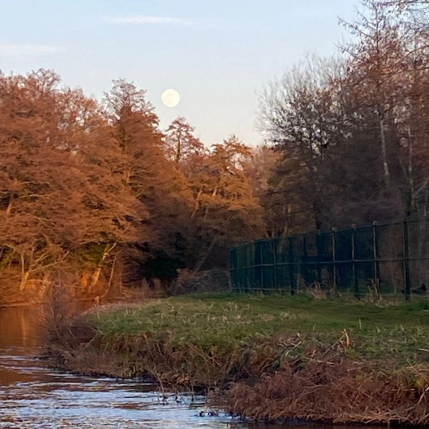 Paddle Boarding from Thatcham to Theale: Kennet &amp; Avon Canal SUP Adventure