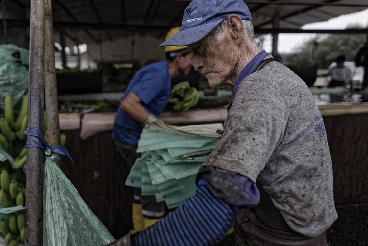 An elderly man working at a produce stand, handling green foam trays with another worker in the background.