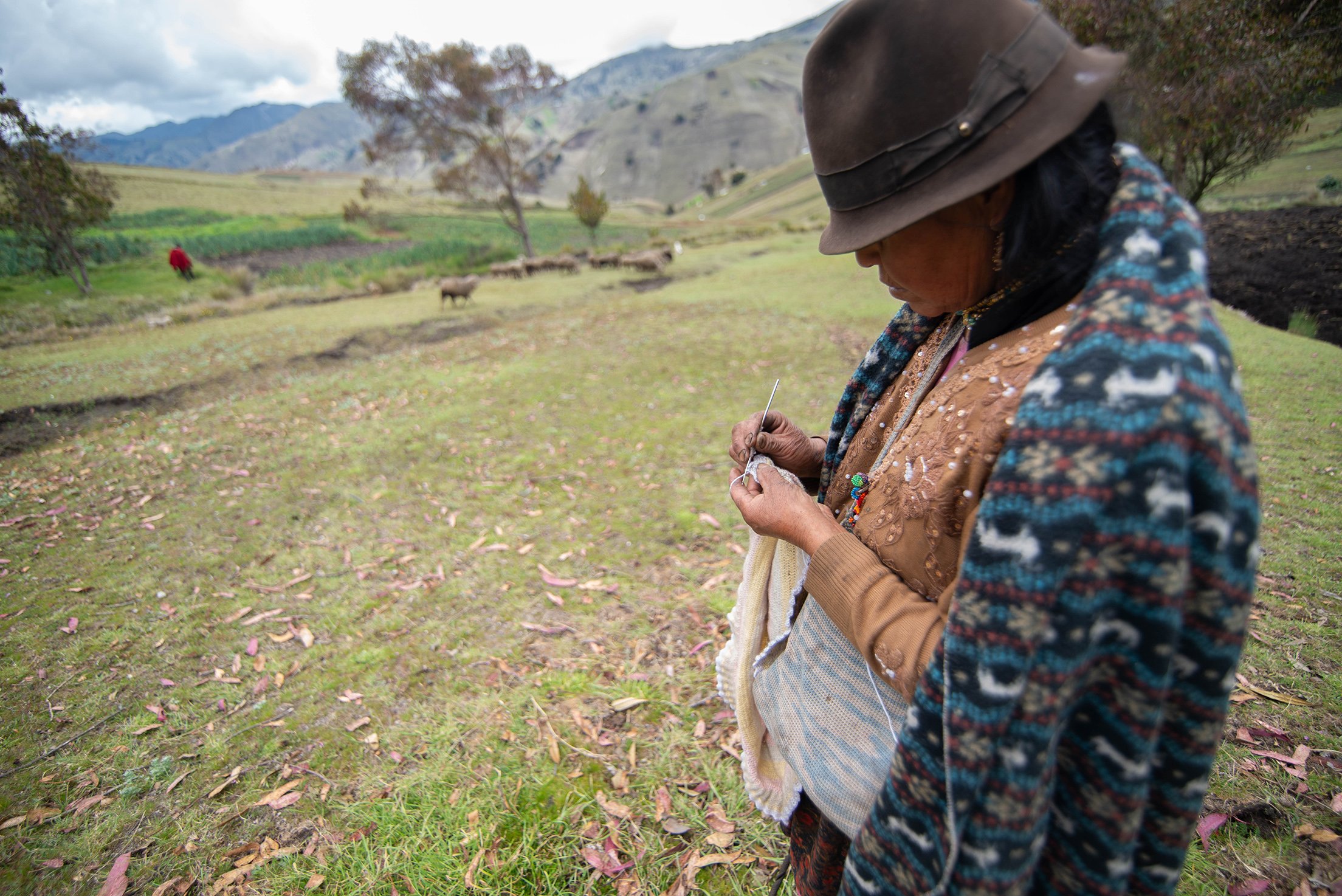 A woman wearing a hat, embroidered jacket, and colorful shawl knitting outdoors in a rural landscape with green fields, distant mountains, and grazing animals.