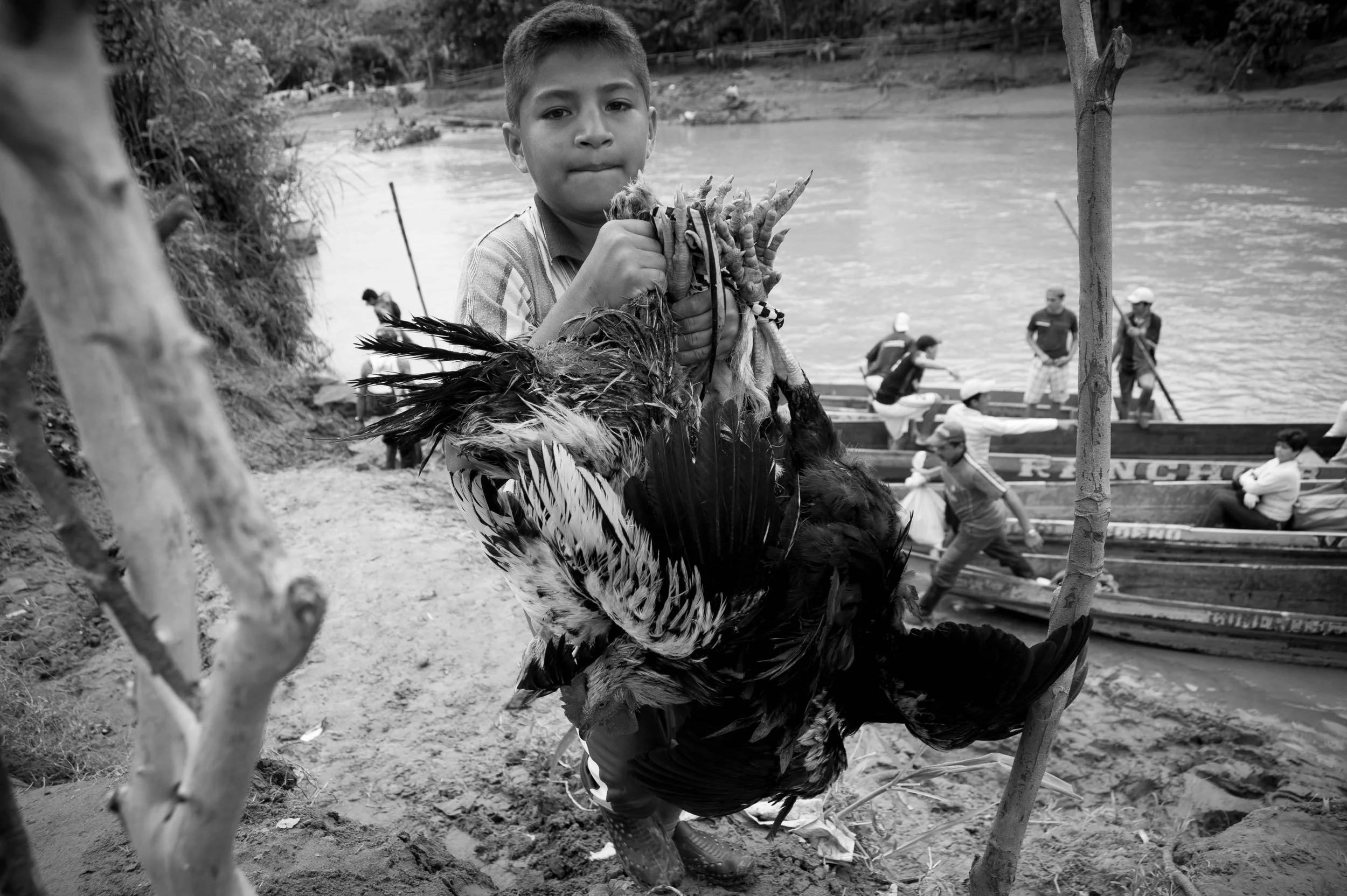 A young boy holding a dead chicken and a bunch of chickens with a river and people in boats in the background.