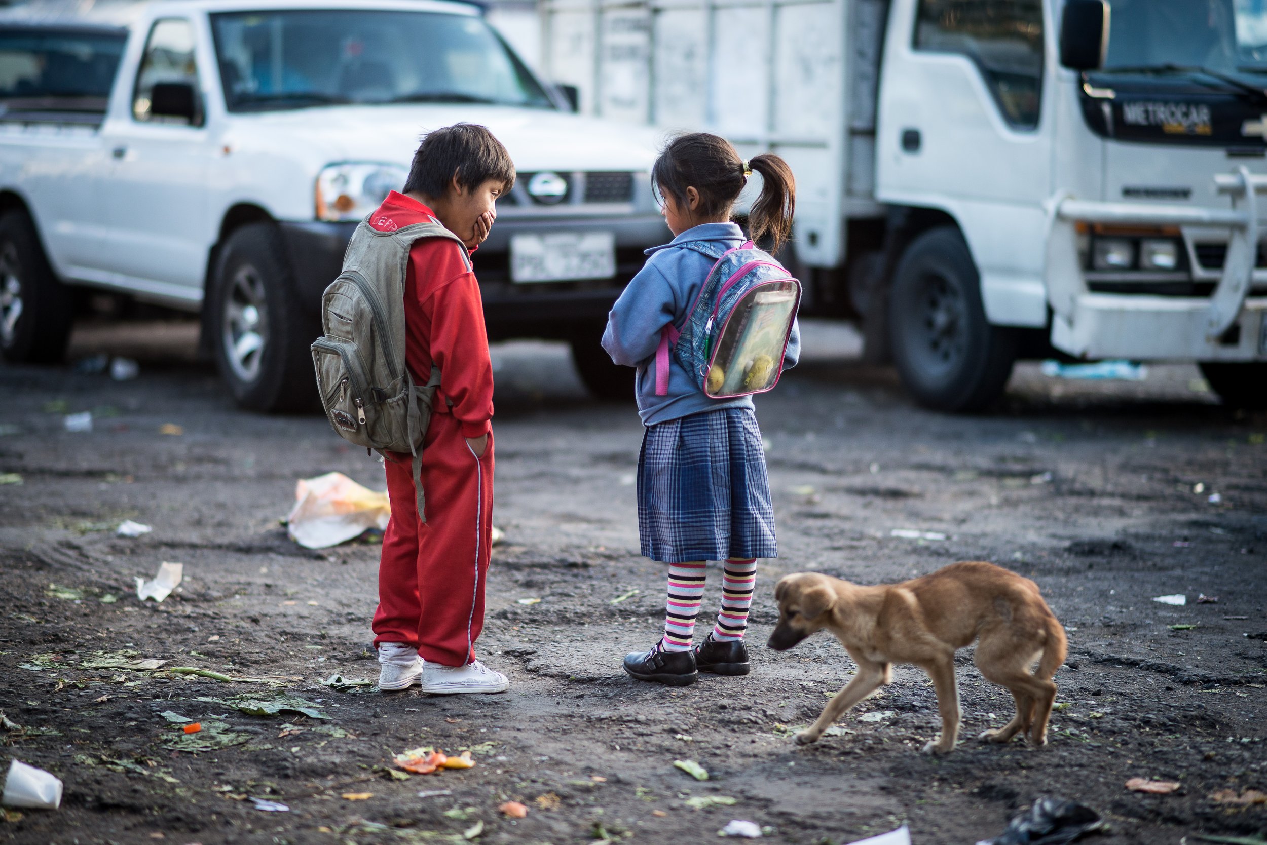 indigenas mercado177.jpg