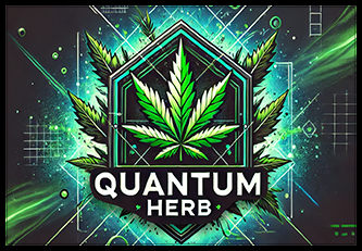 Bud_QH.png