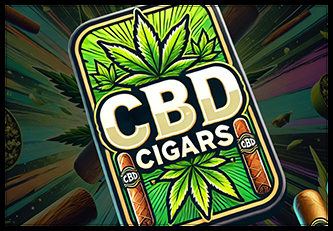 Bud_CBDC.png