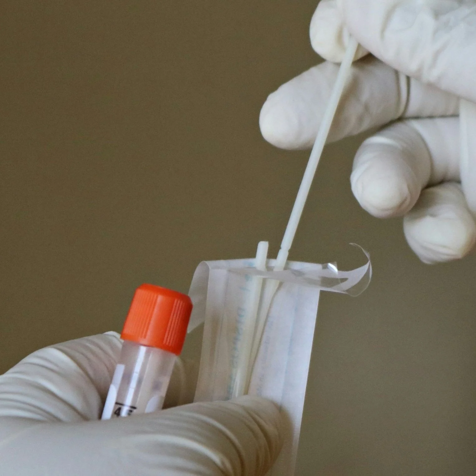 Close-up of gloved hands handling a collection tube with a sample swab for laboratory testing.