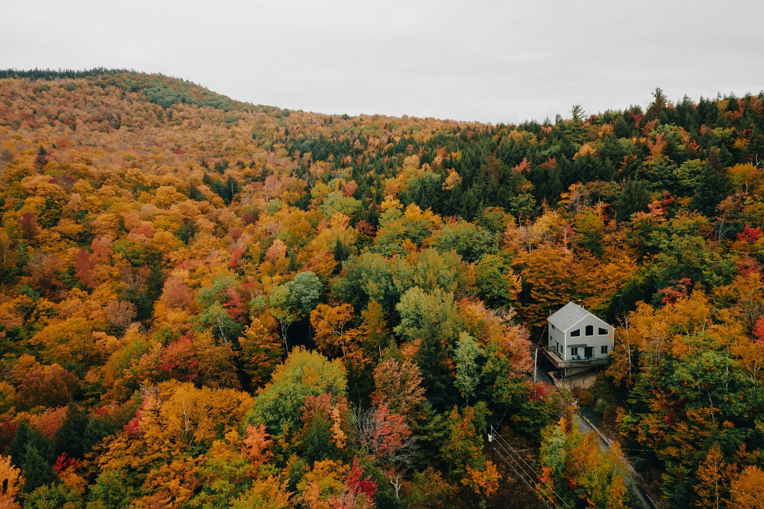 Fall Listing Edge: Photo Timing, Foliage, and First Impressions