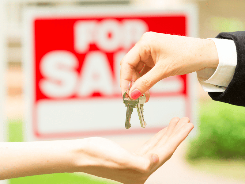 How a January-to-March Launch Outperforms Waiting Until the Spring Rush