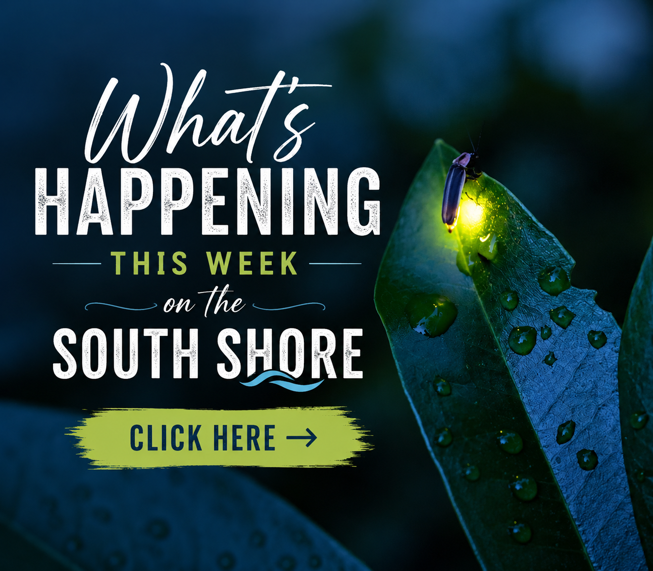 Happening This Month on the South Shore