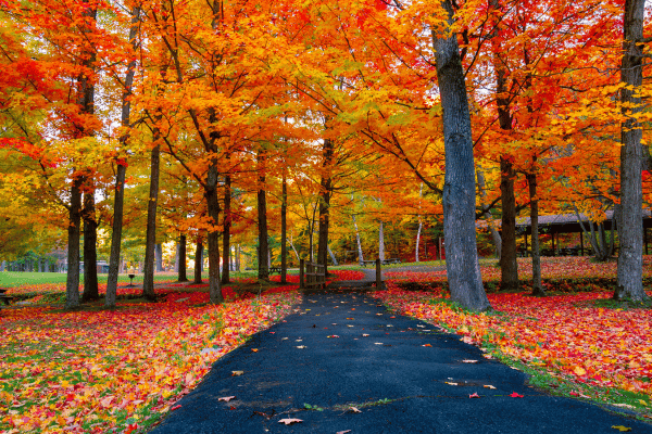 South Shore Towns With Strong Fall Real Estate Markets