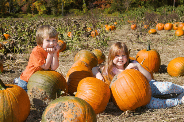 Pumpkin Patches &amp; Fall Farm Fun on the South Shore