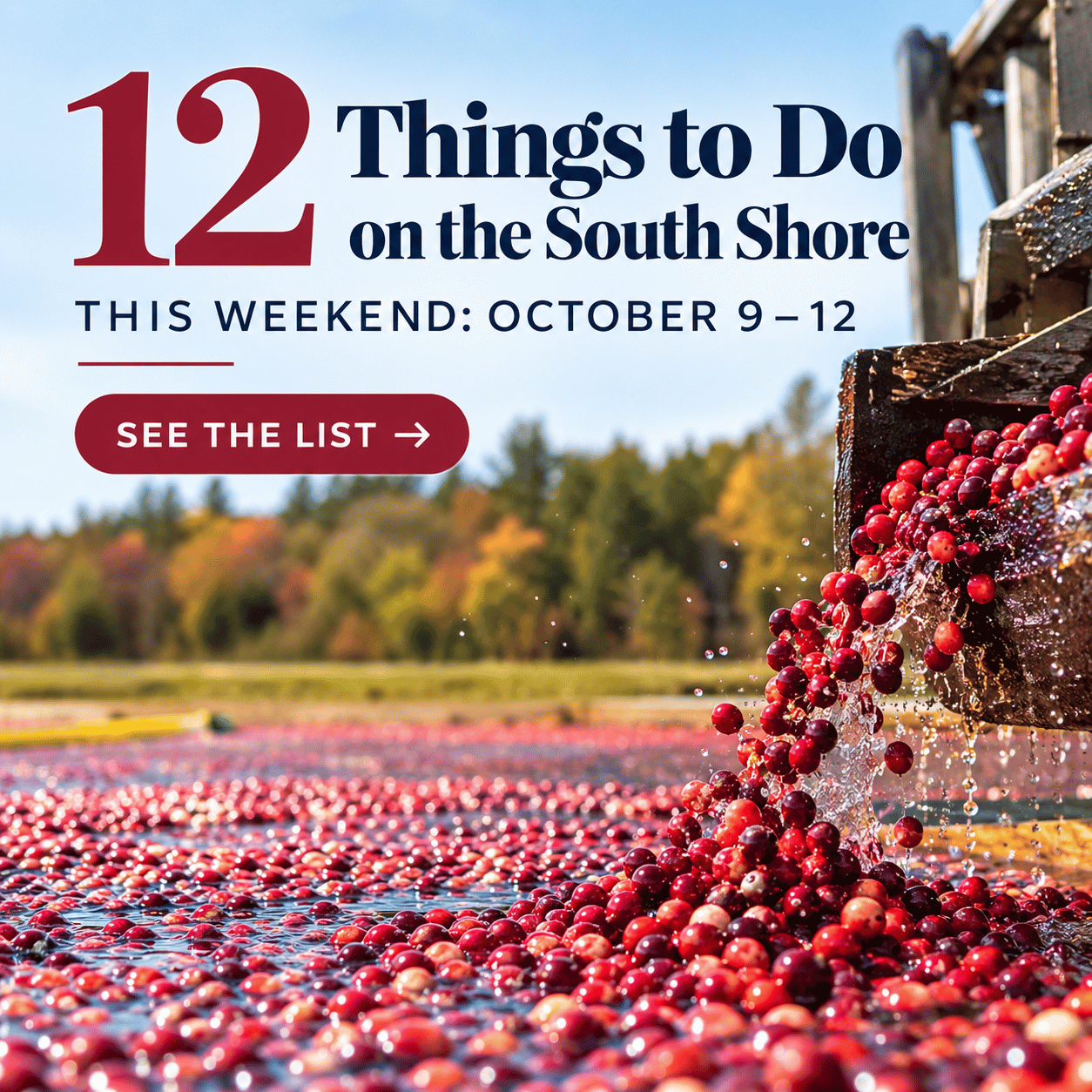 12 Things to Do on the South Shore This Weekend: October 9–12