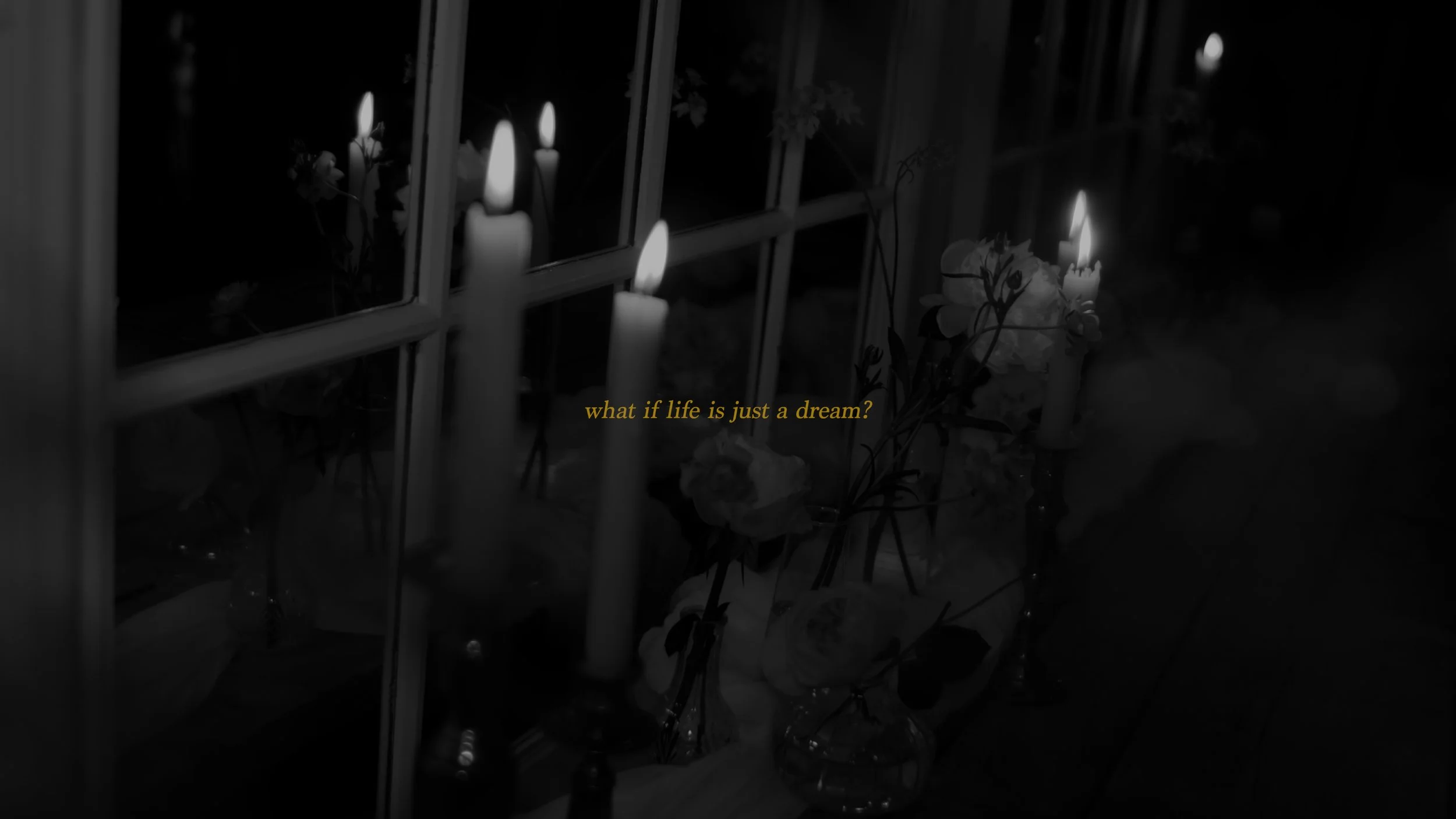 What if life is just a dream?