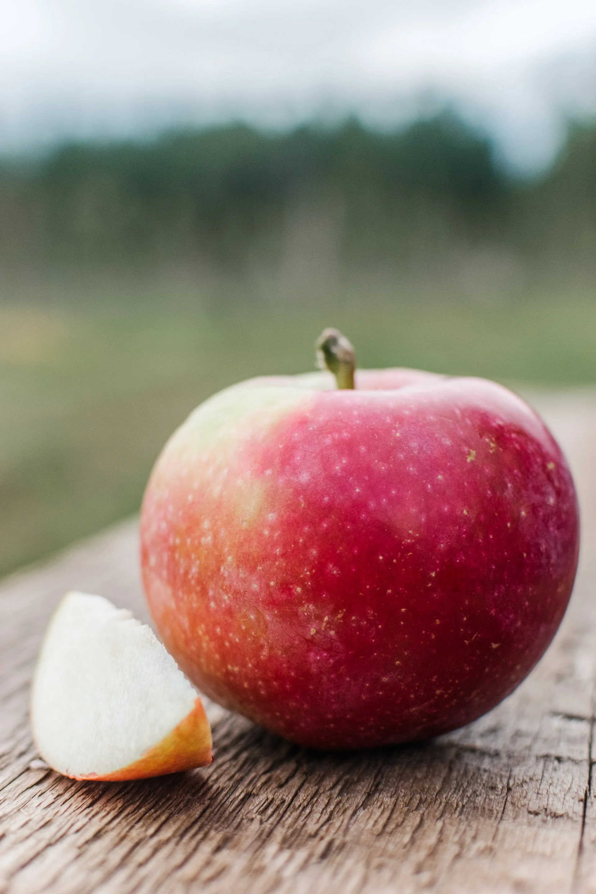 Summerland Red Mac.jpg