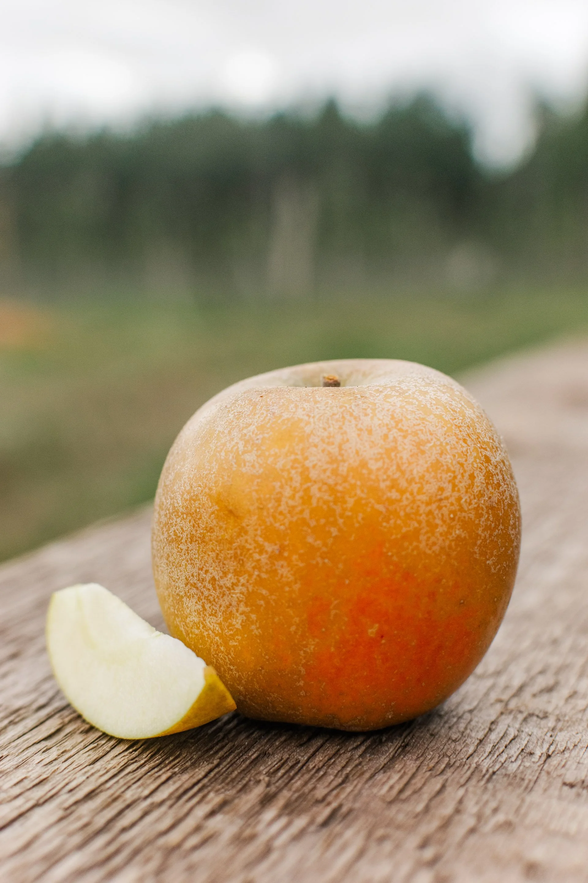 golden_russet.jpg