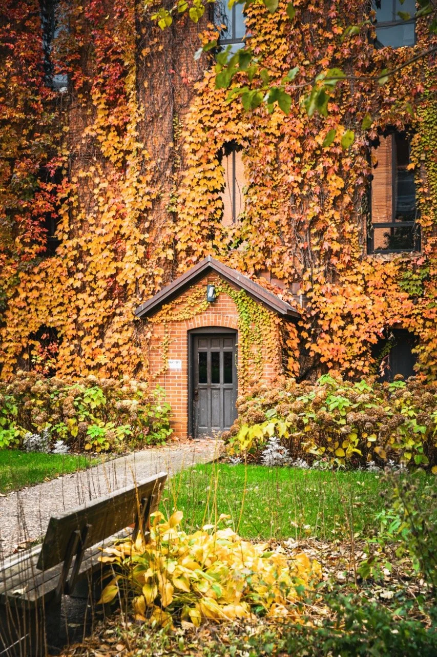 S59B7341 copy 5 Large.jpeg