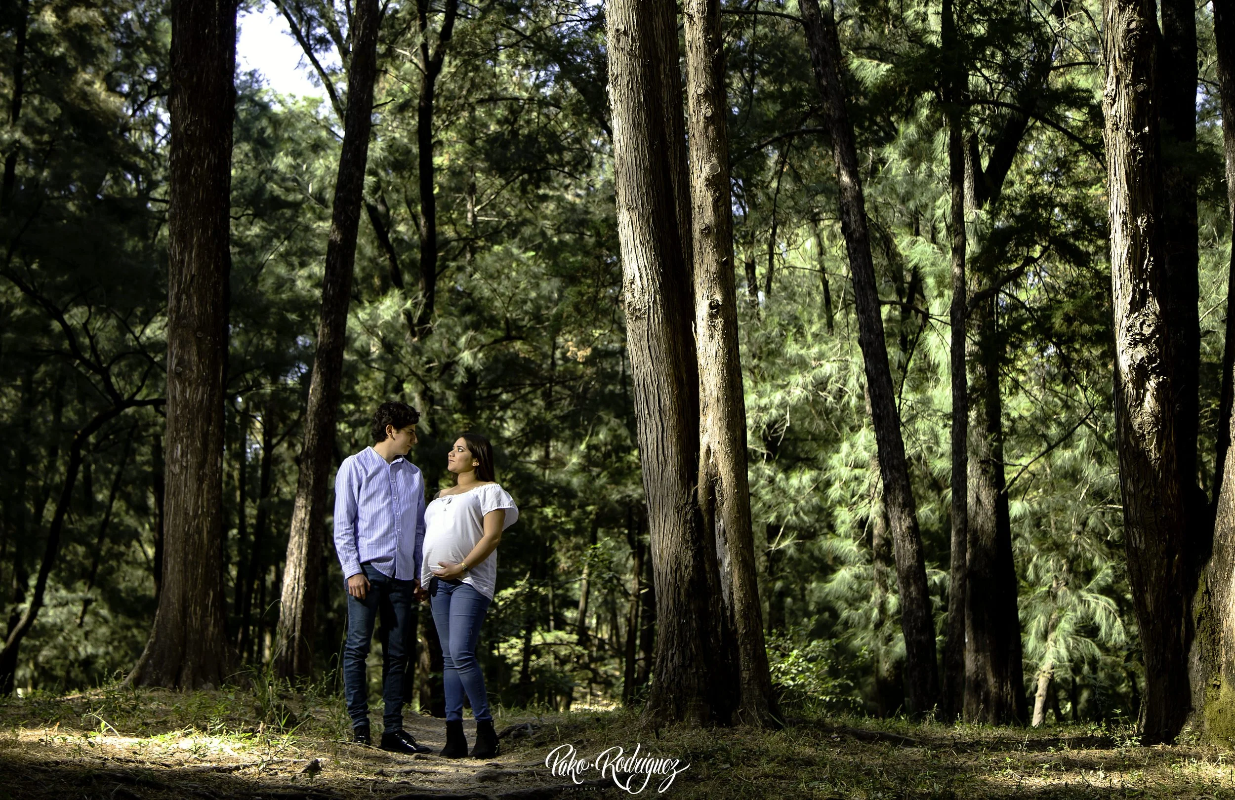 Bosque.jpg