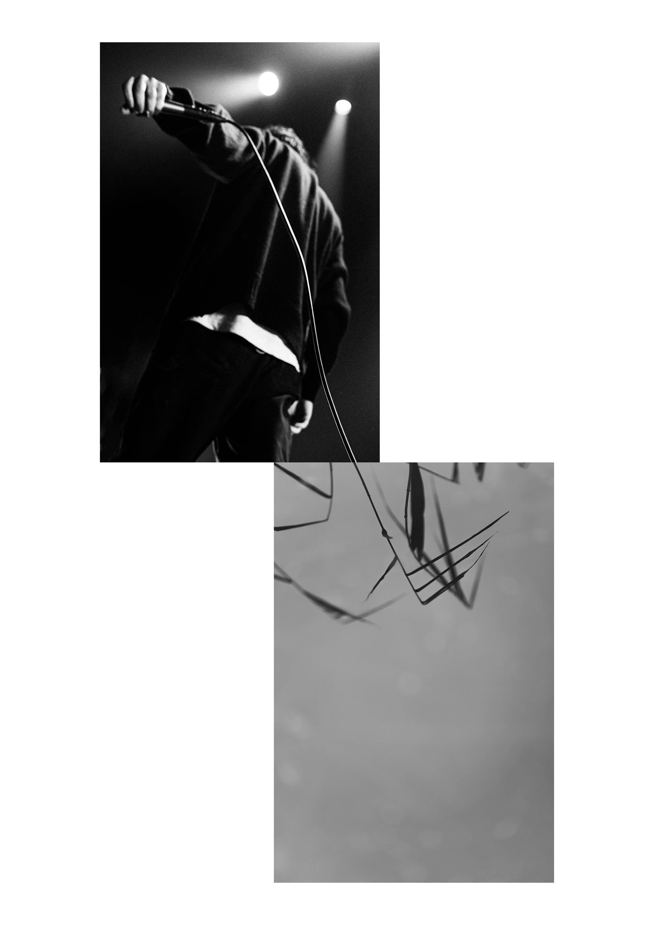 kl reeds.jpg