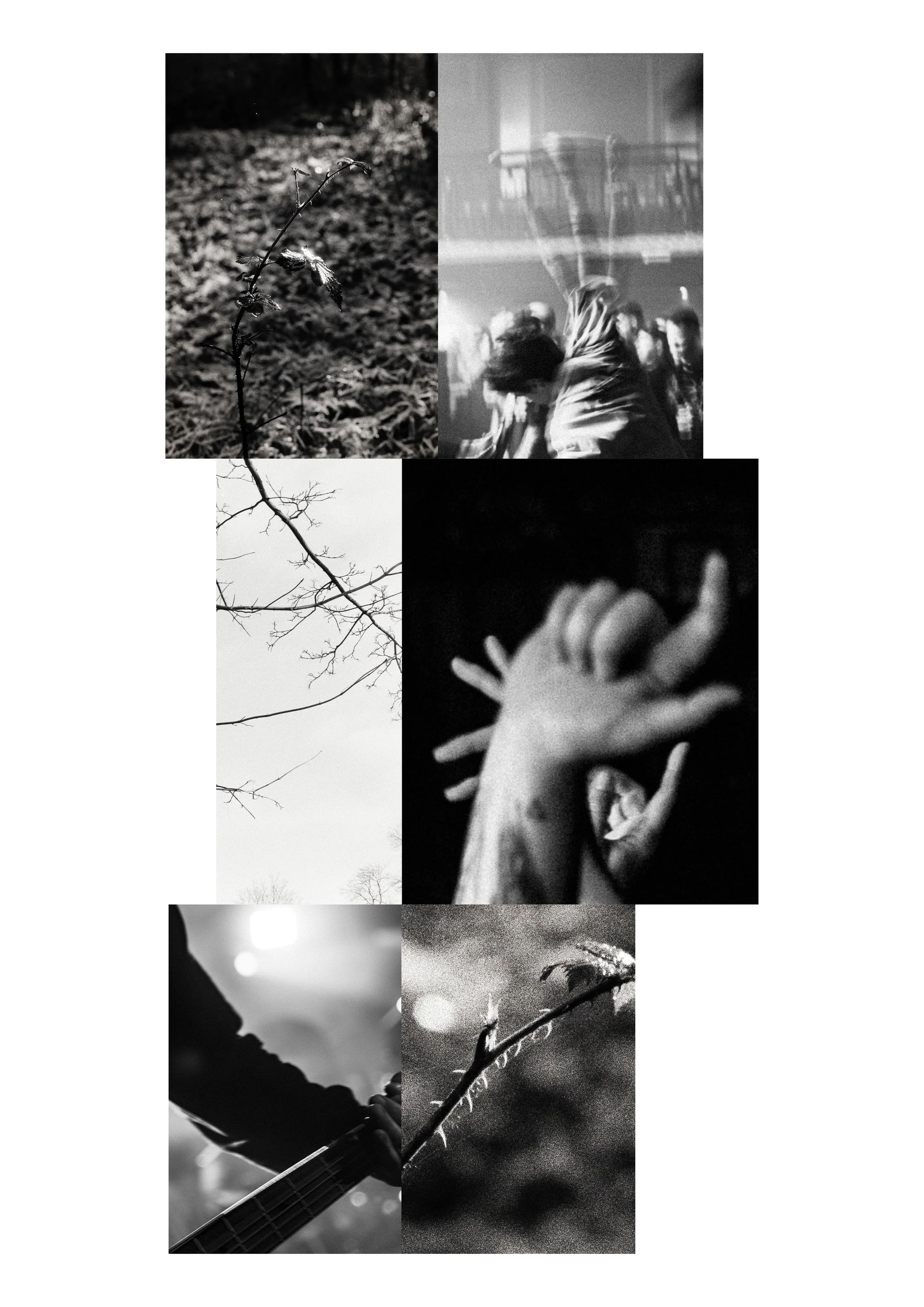 Untitled-1.jpg