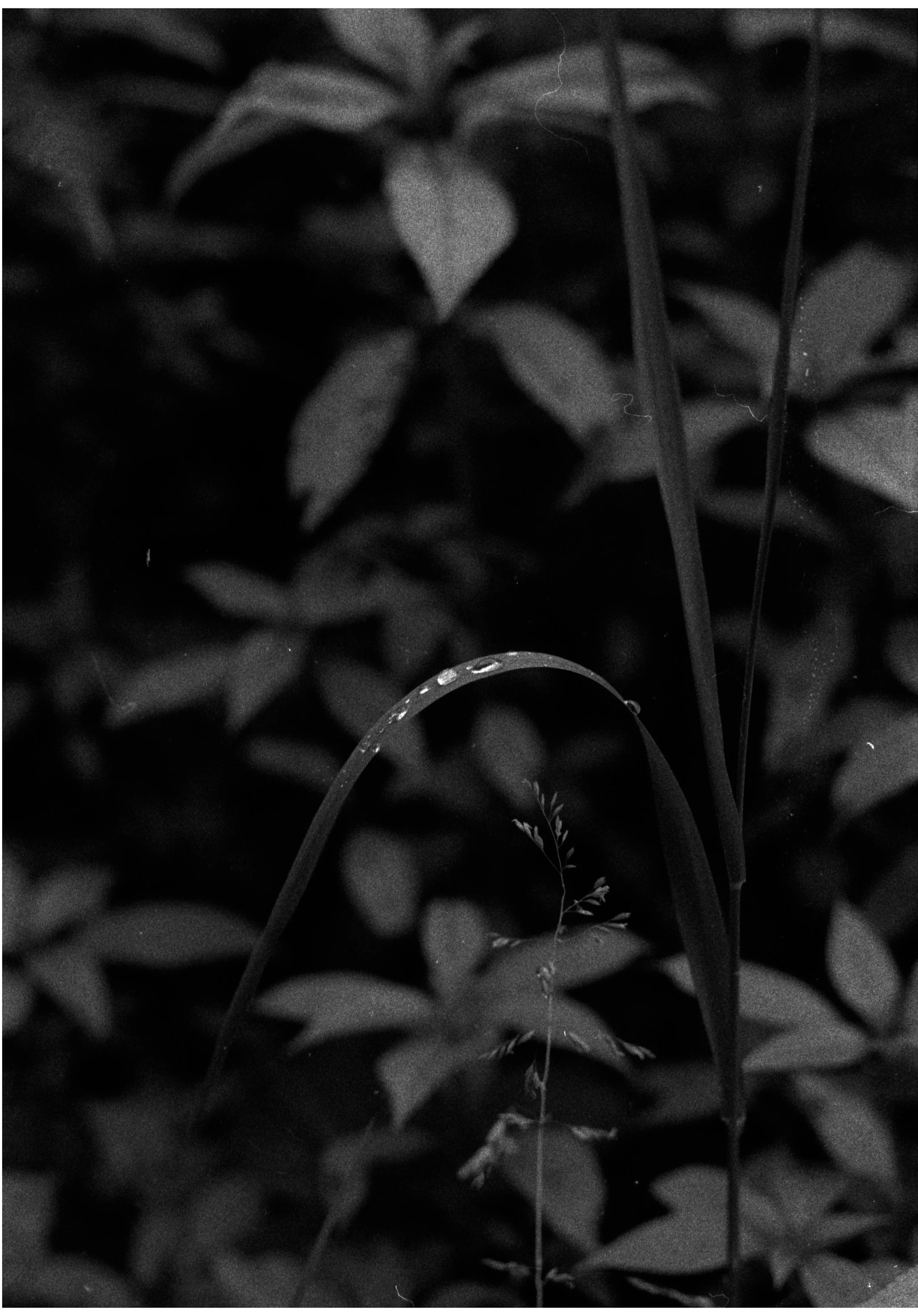 Untitled-9.jpg