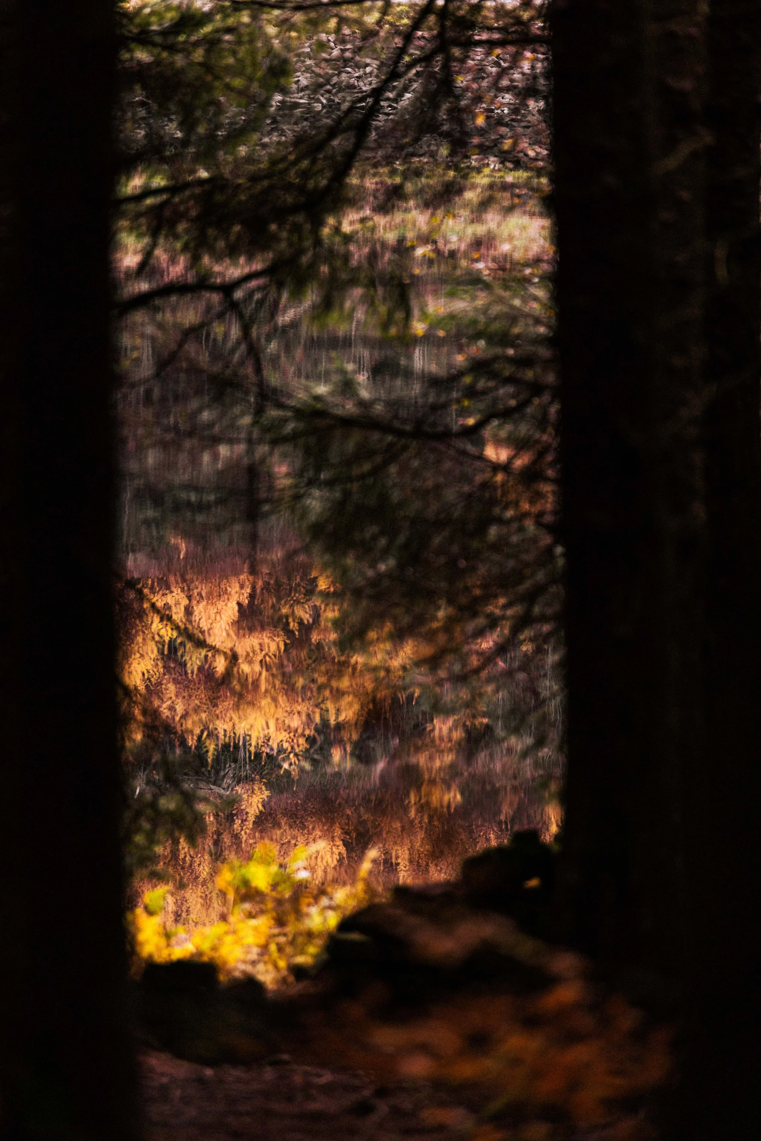 _H3A4146.jpg