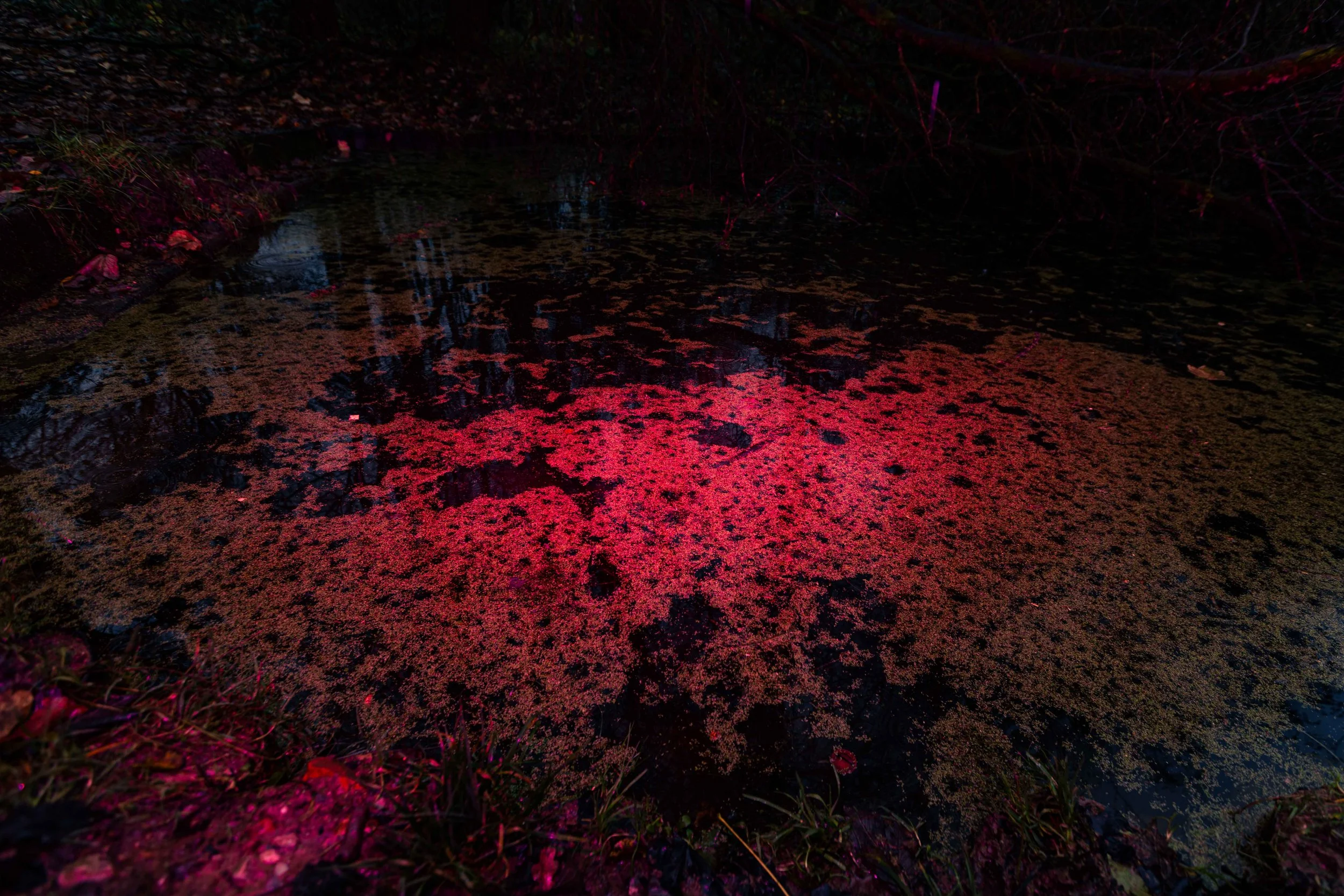 _H3A4570.jpg