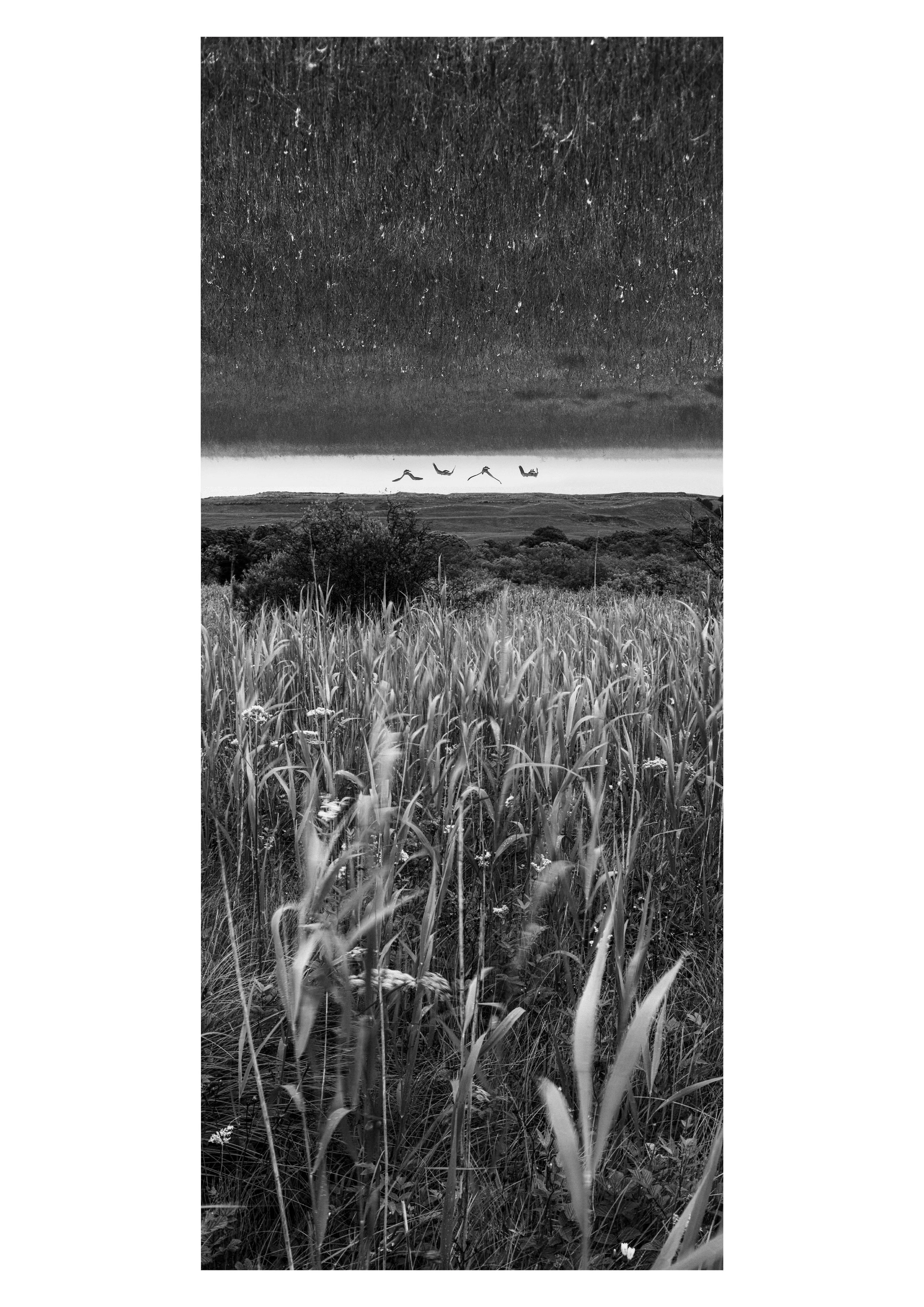 Untitled-2.jpg