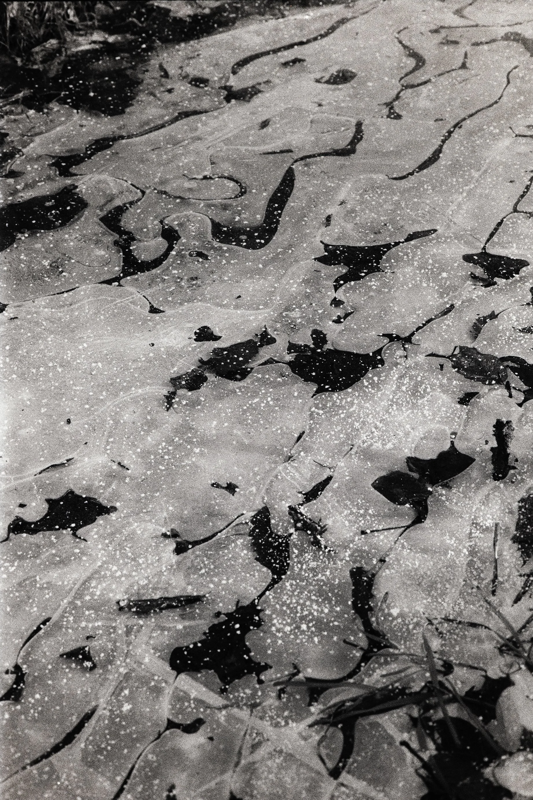 _Ilford40000018.jpg