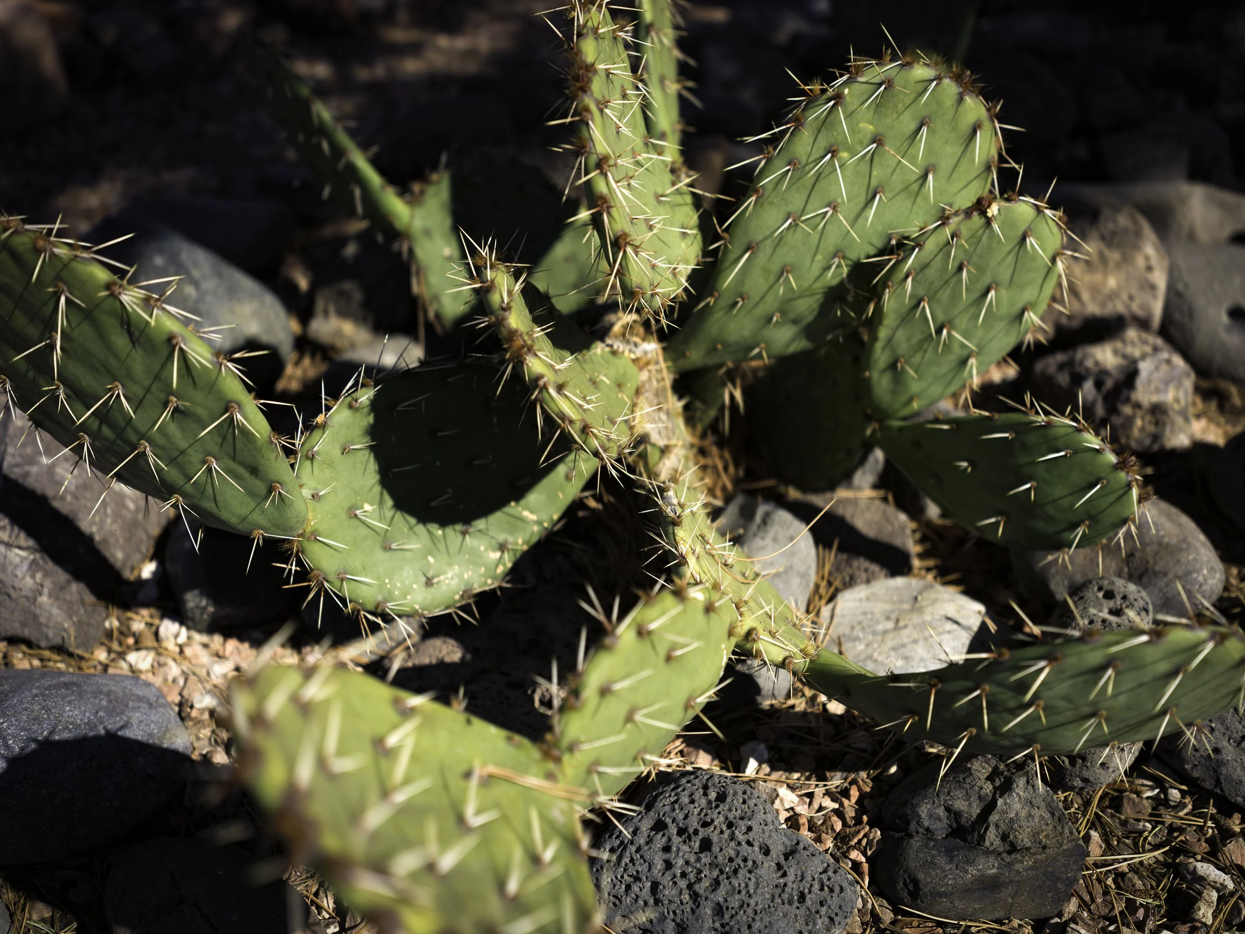 B0003445-Edit.jpg