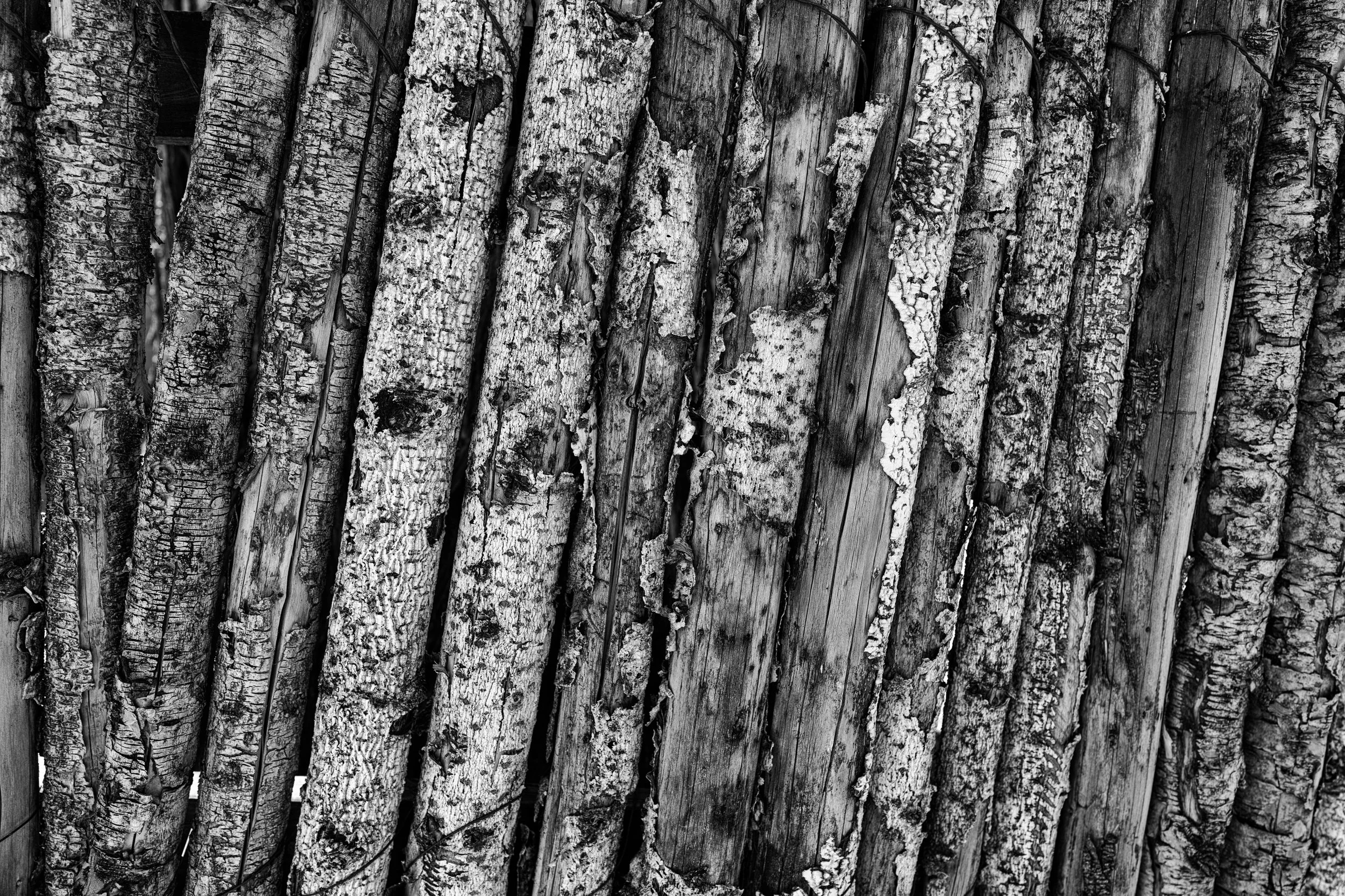 DSC05685-Edit.jpg