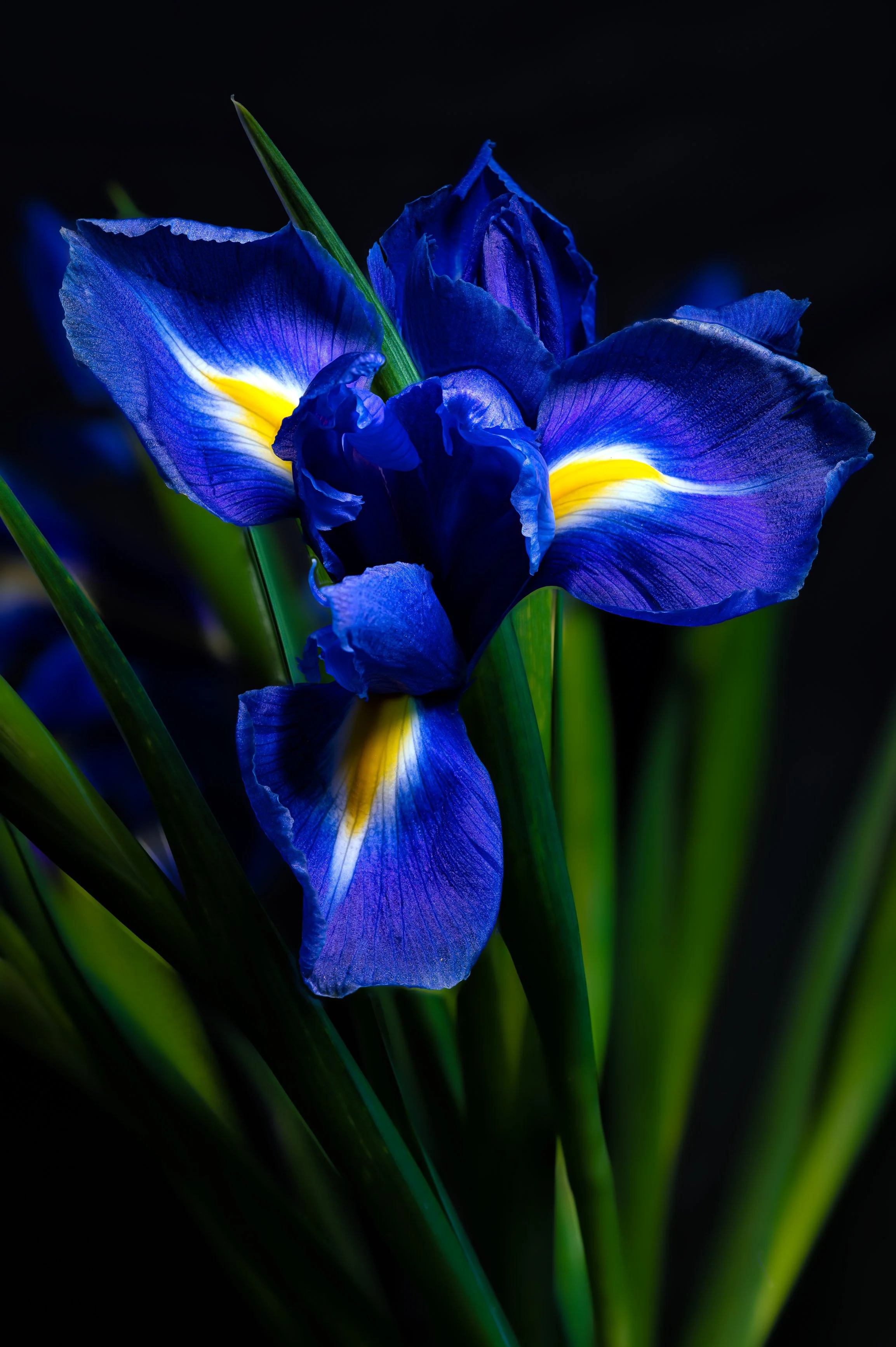 2026-03-16 06-14-19 (A,R3,S1)-Edit.jpg