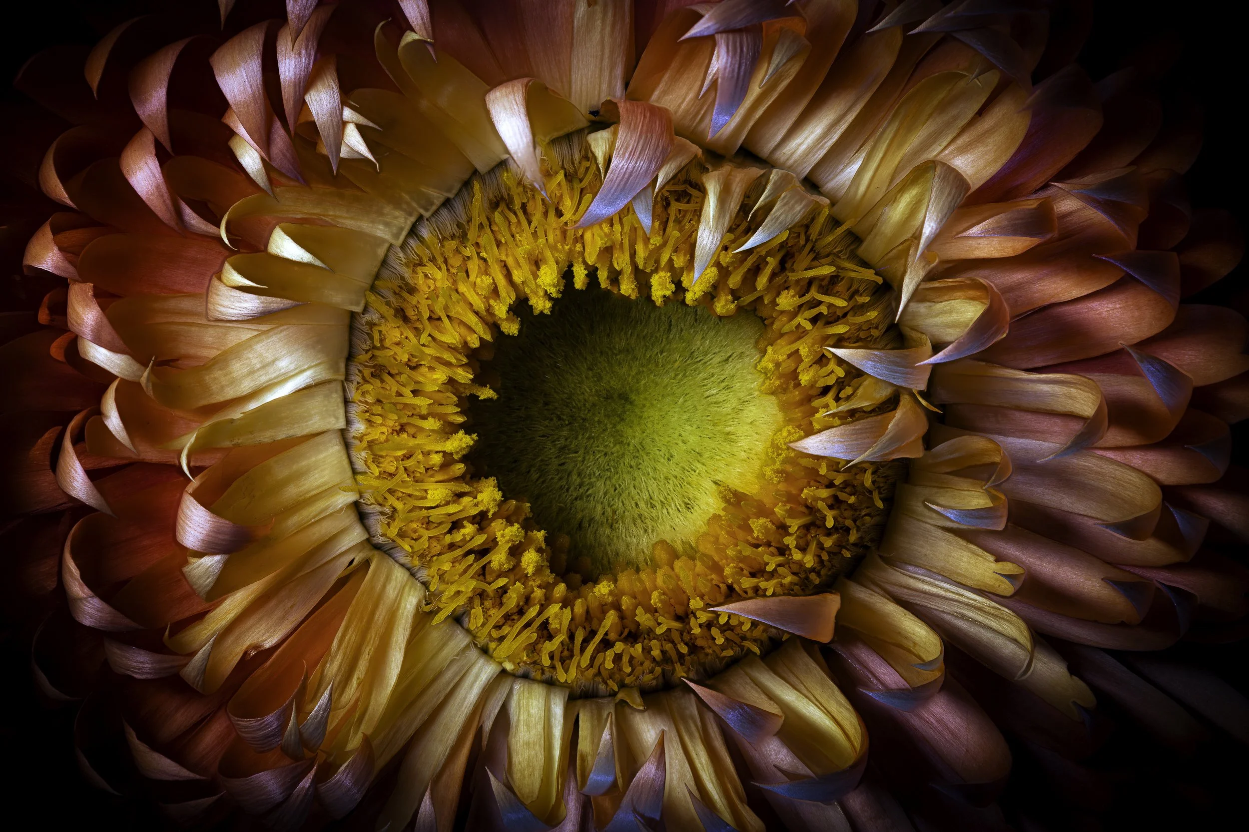 2026-03-30 07-14-29 (A,R3,S1)-Edit-Edit-Edit-Edit.jpg