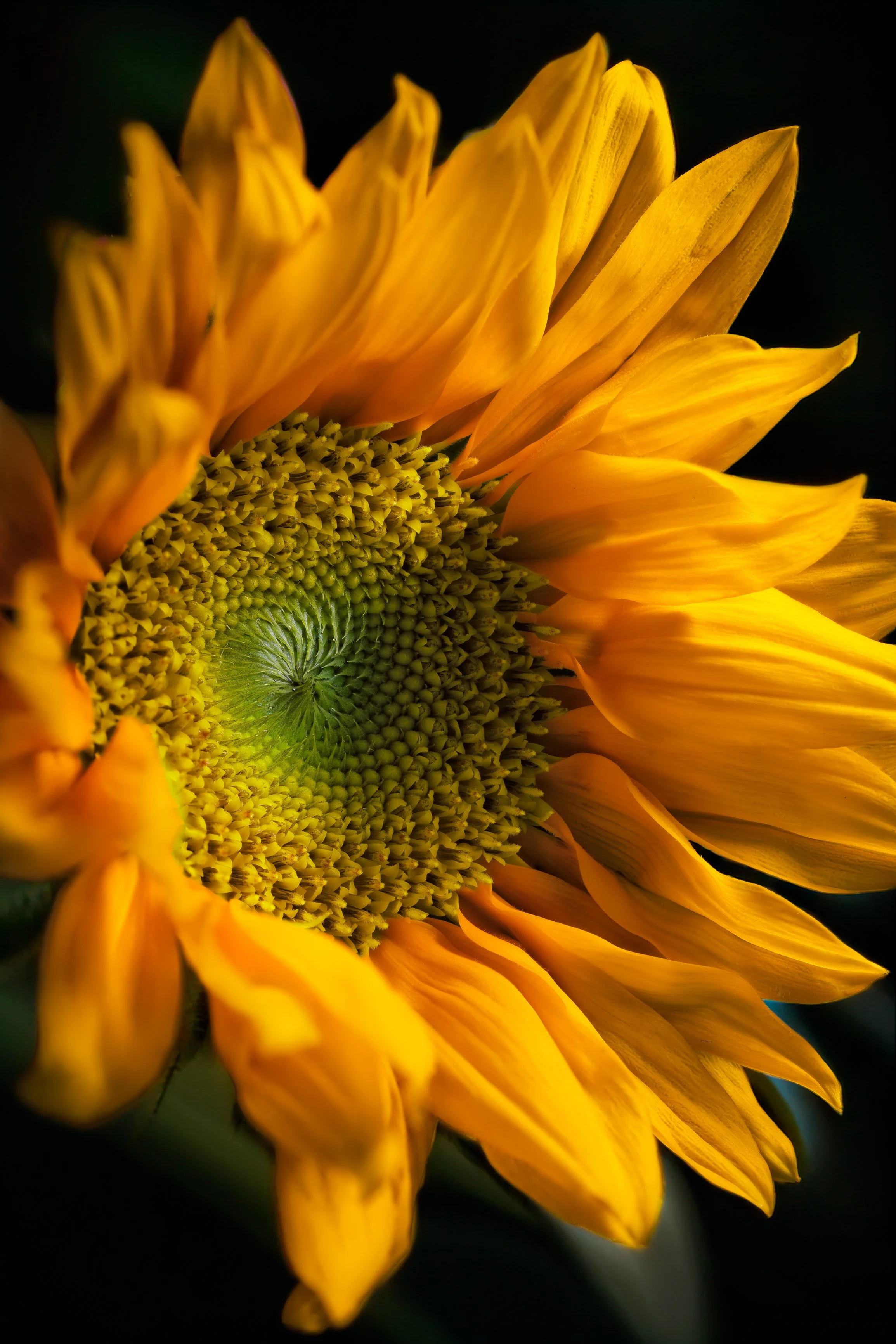 2026-03-14 12-53-11 (C,S1)-Edit-Edit-2-Edit-2.jpg