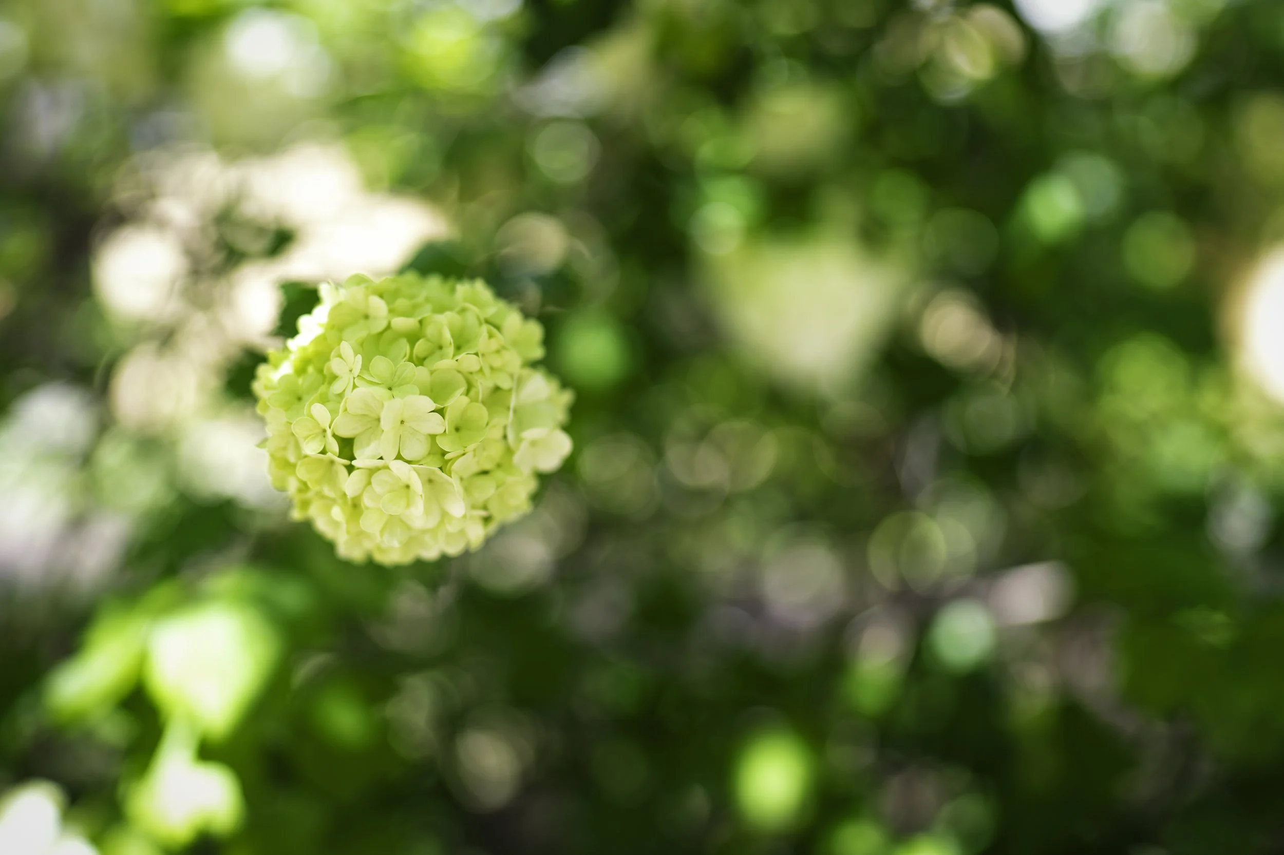 DSC05690-Edit.jpg