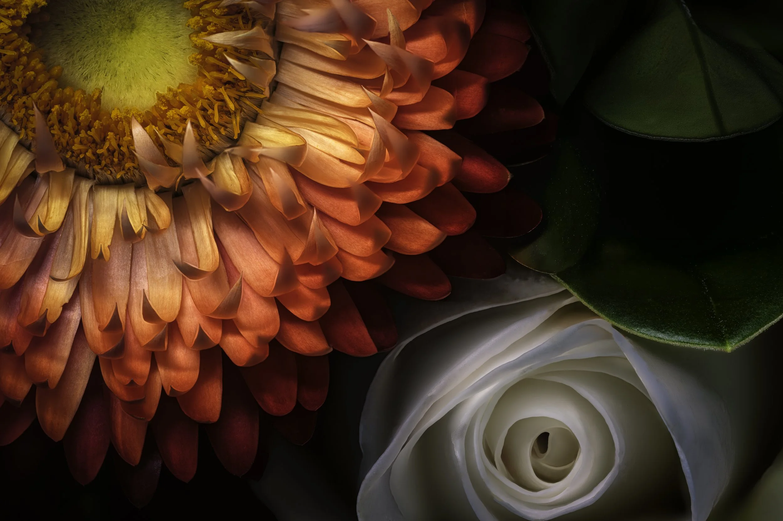 2026-03-30 06-58-30 (A,R3,S1)-Edit-Edit-Edit.jpg