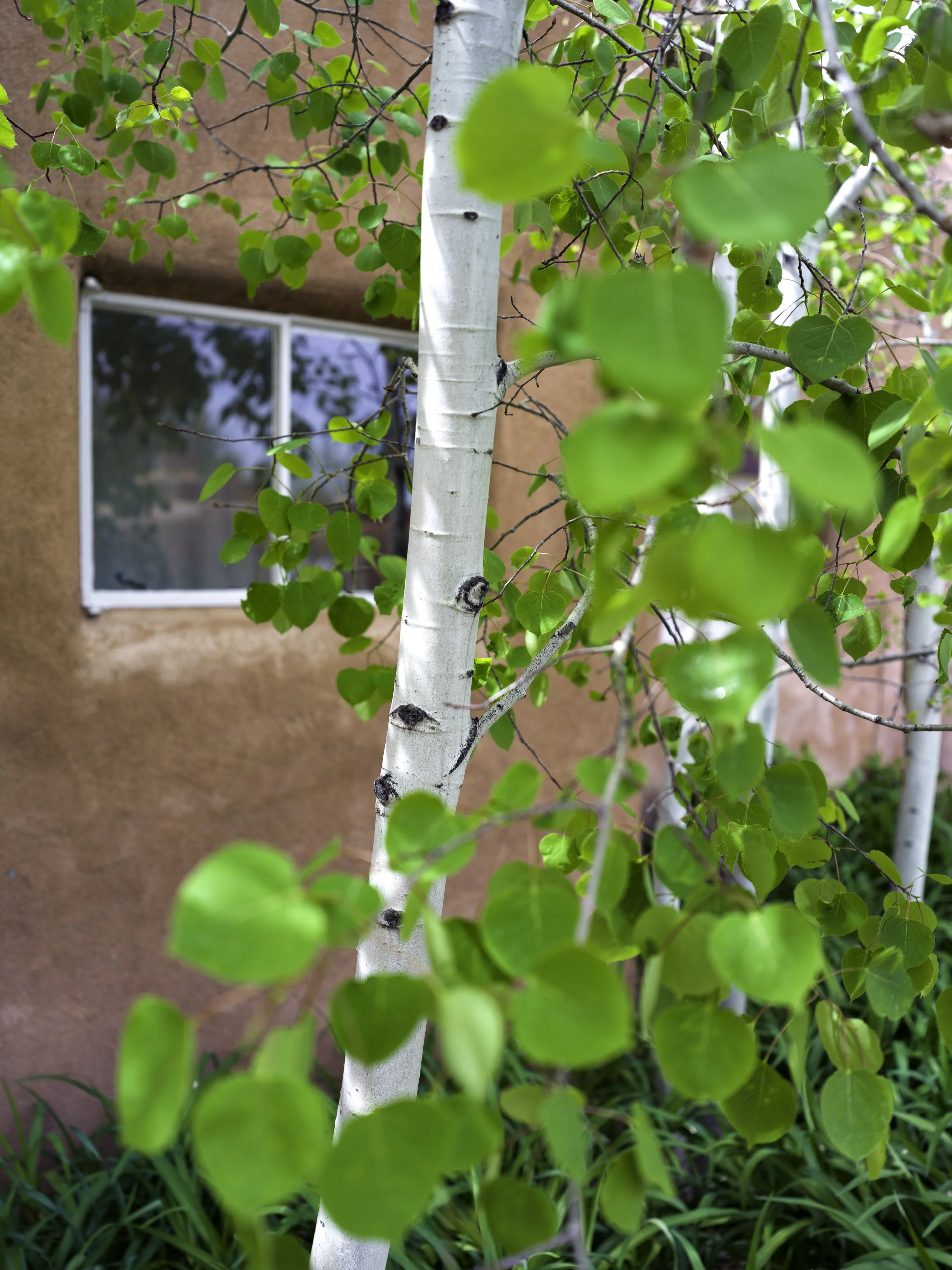 B0003845-Edit.jpg