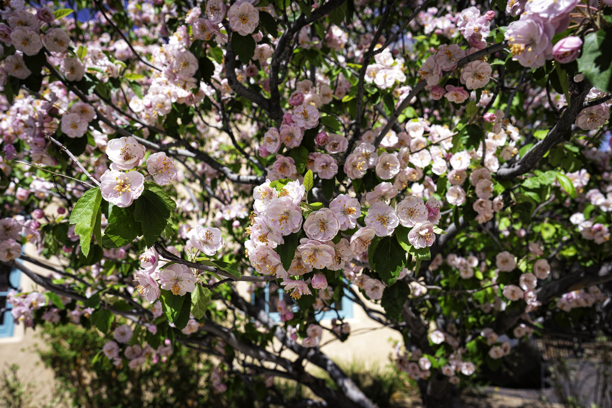 DSC05807-Edit.jpg